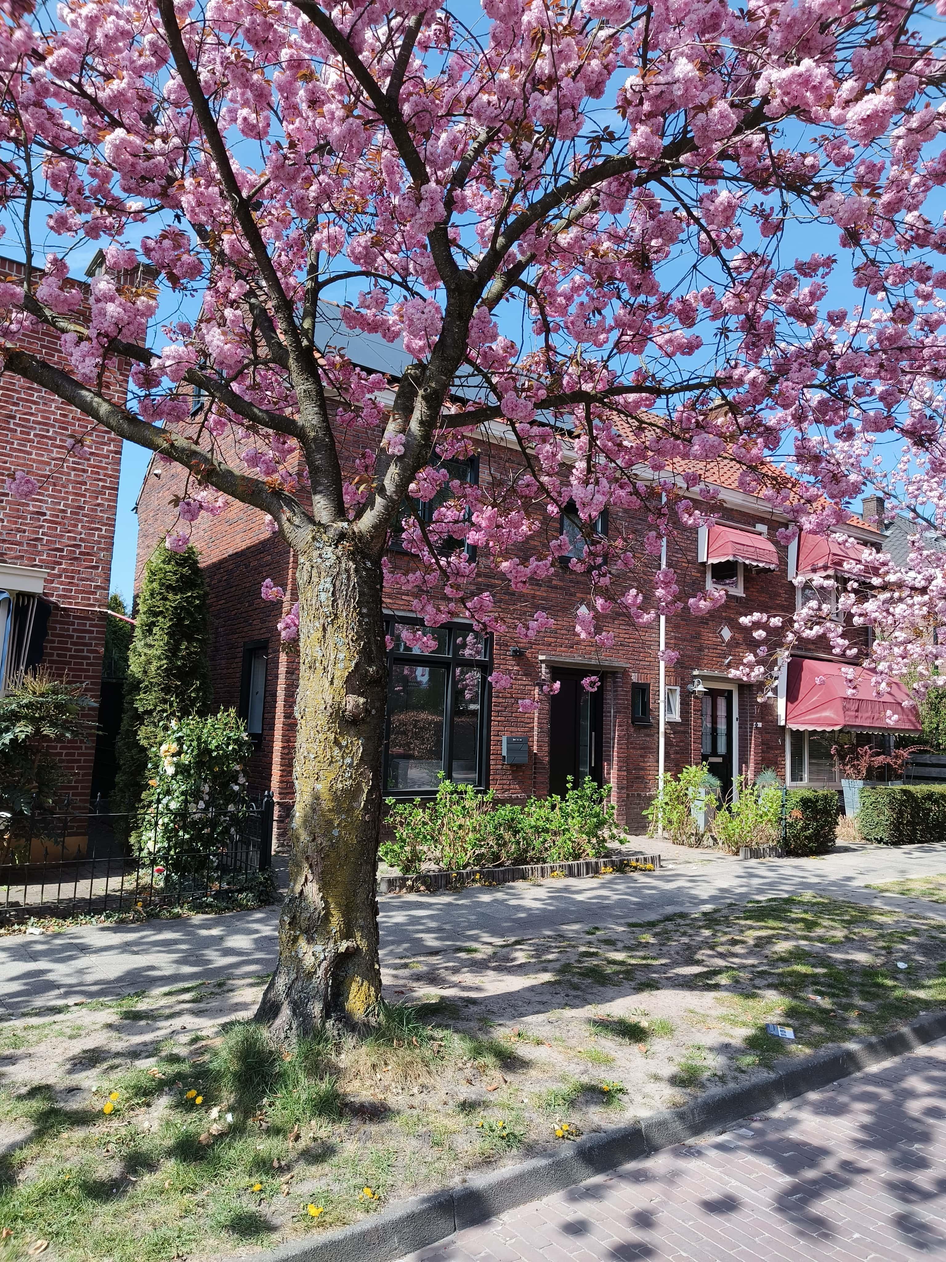 show all photos of Hoge Boekelerweg