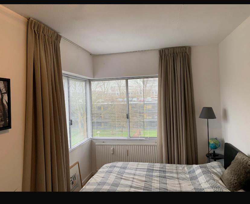 show all photos of Gouden Leeuw