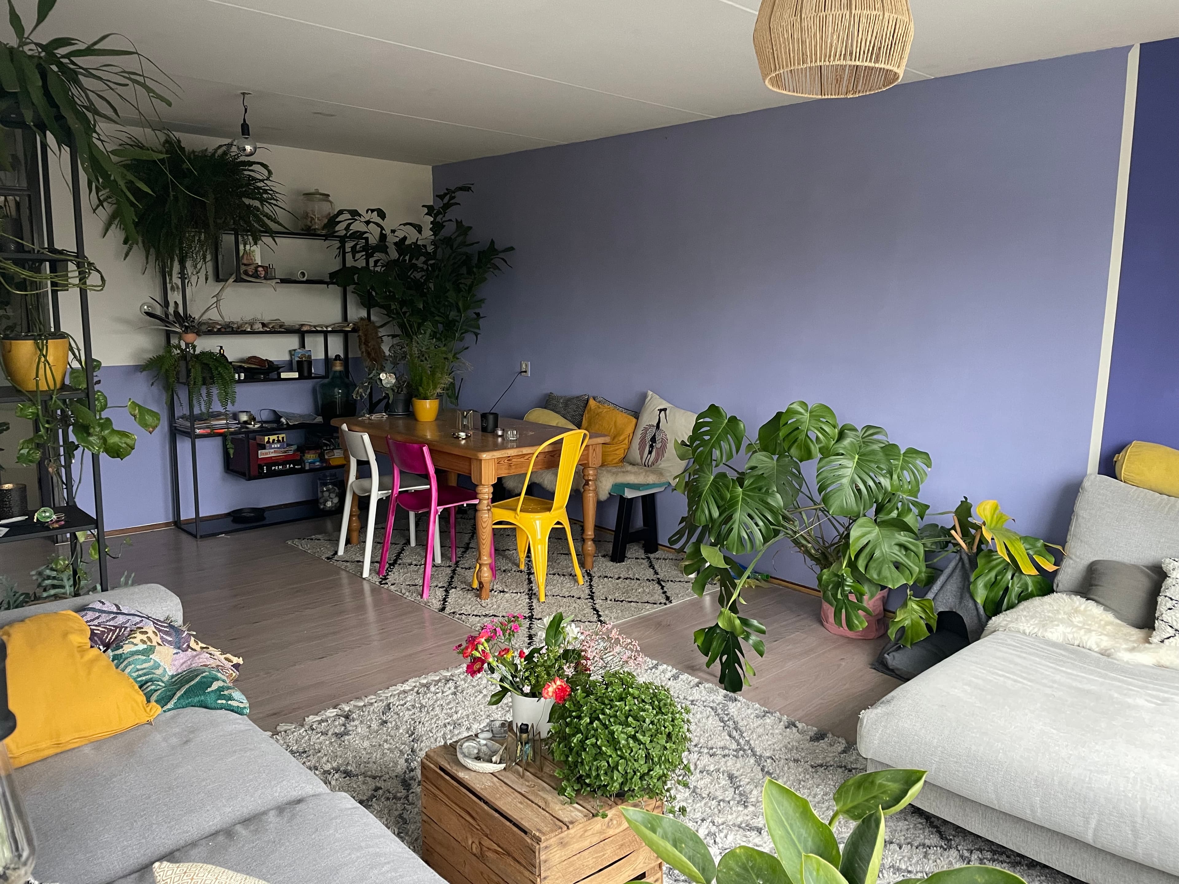 show all photos of Burgemeester Van de Pollstraat