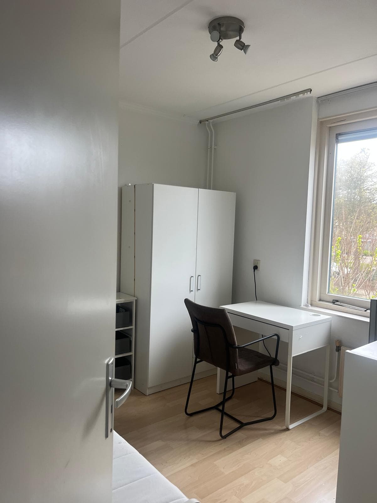show all photos of Hofwijk