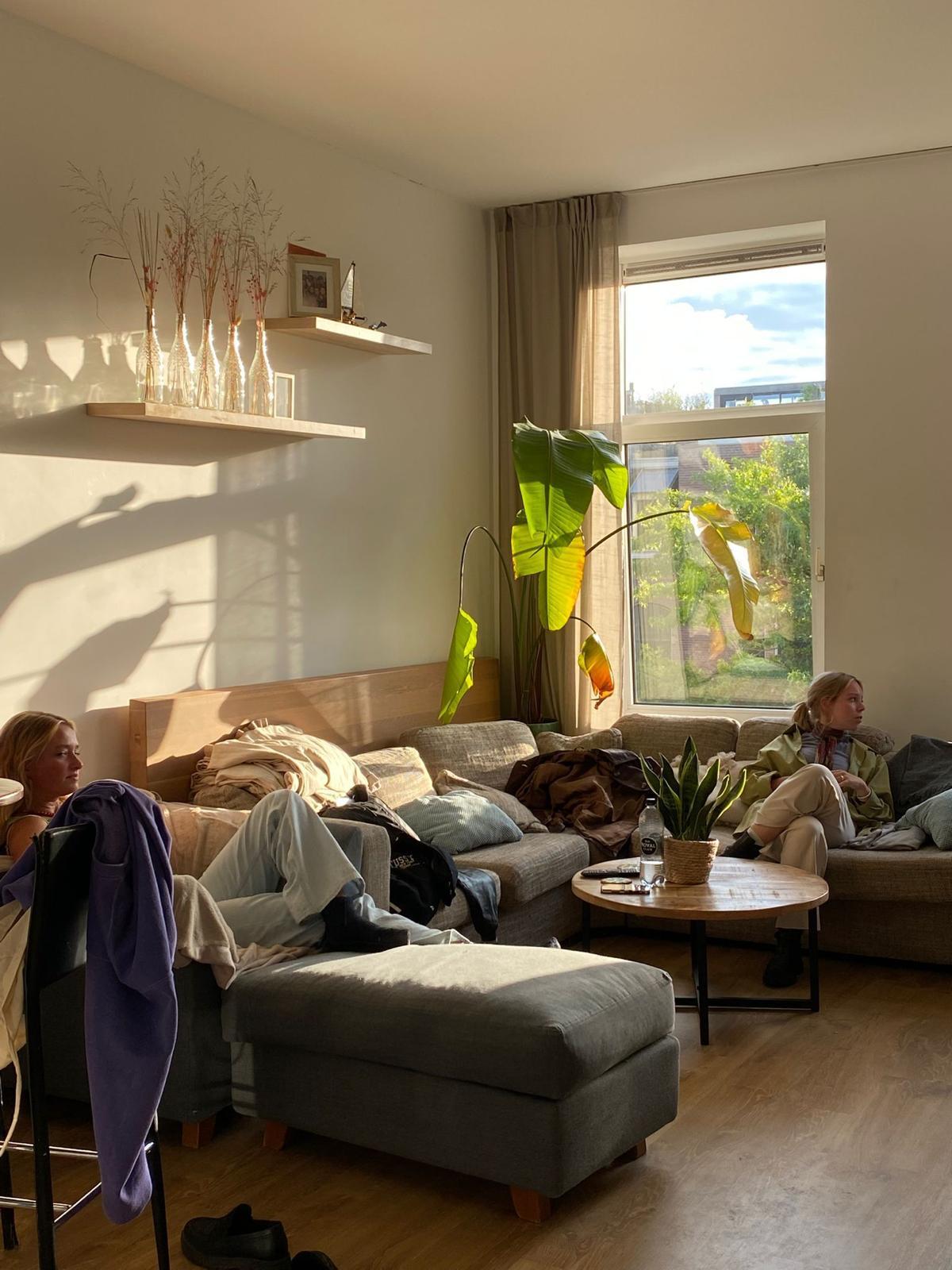 show all photos of Claes de Vrieselaan