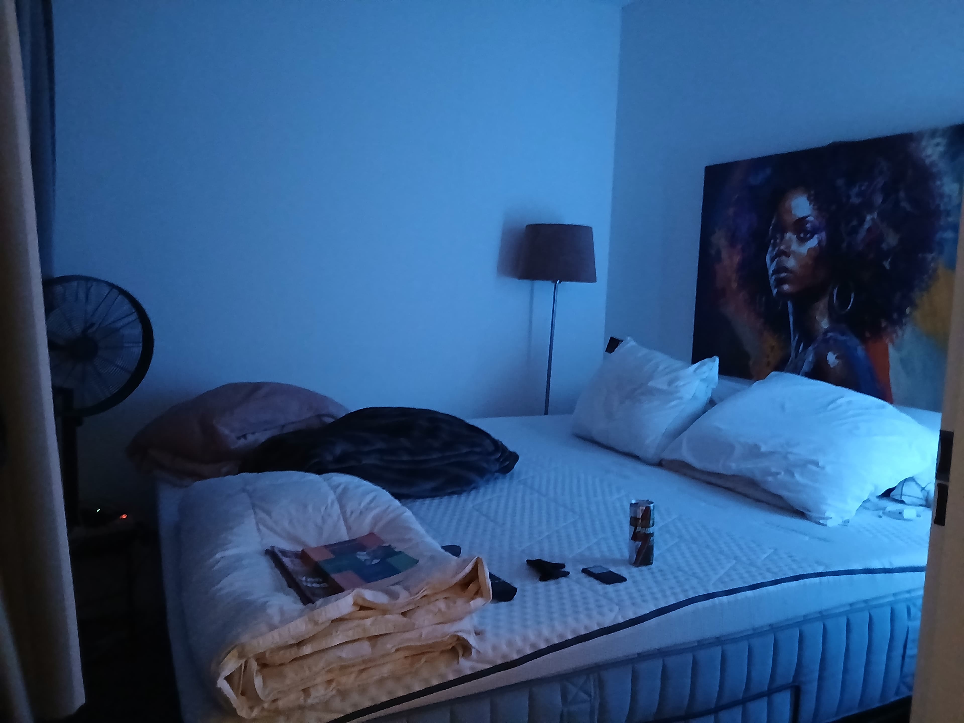 show all photos of Willem de Zwijgerweg