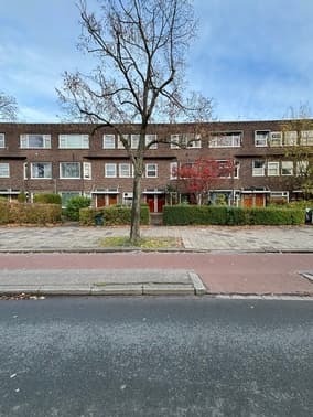 show all photos of Petrus Campersingel