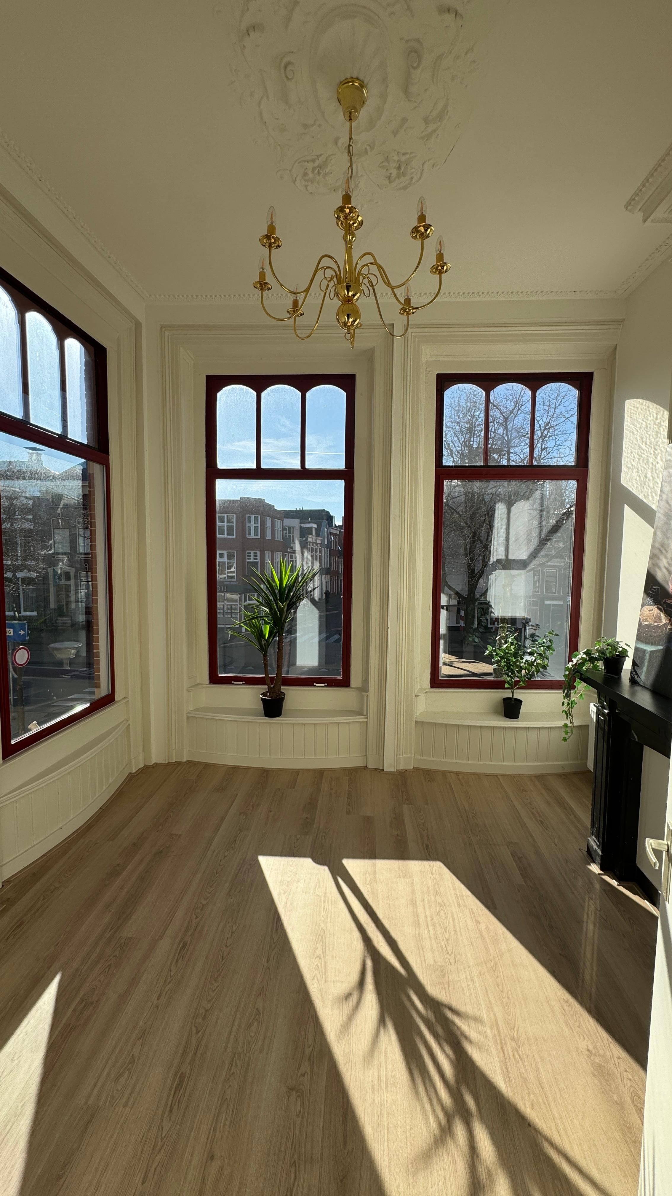 show all photos of Pelsterstraat