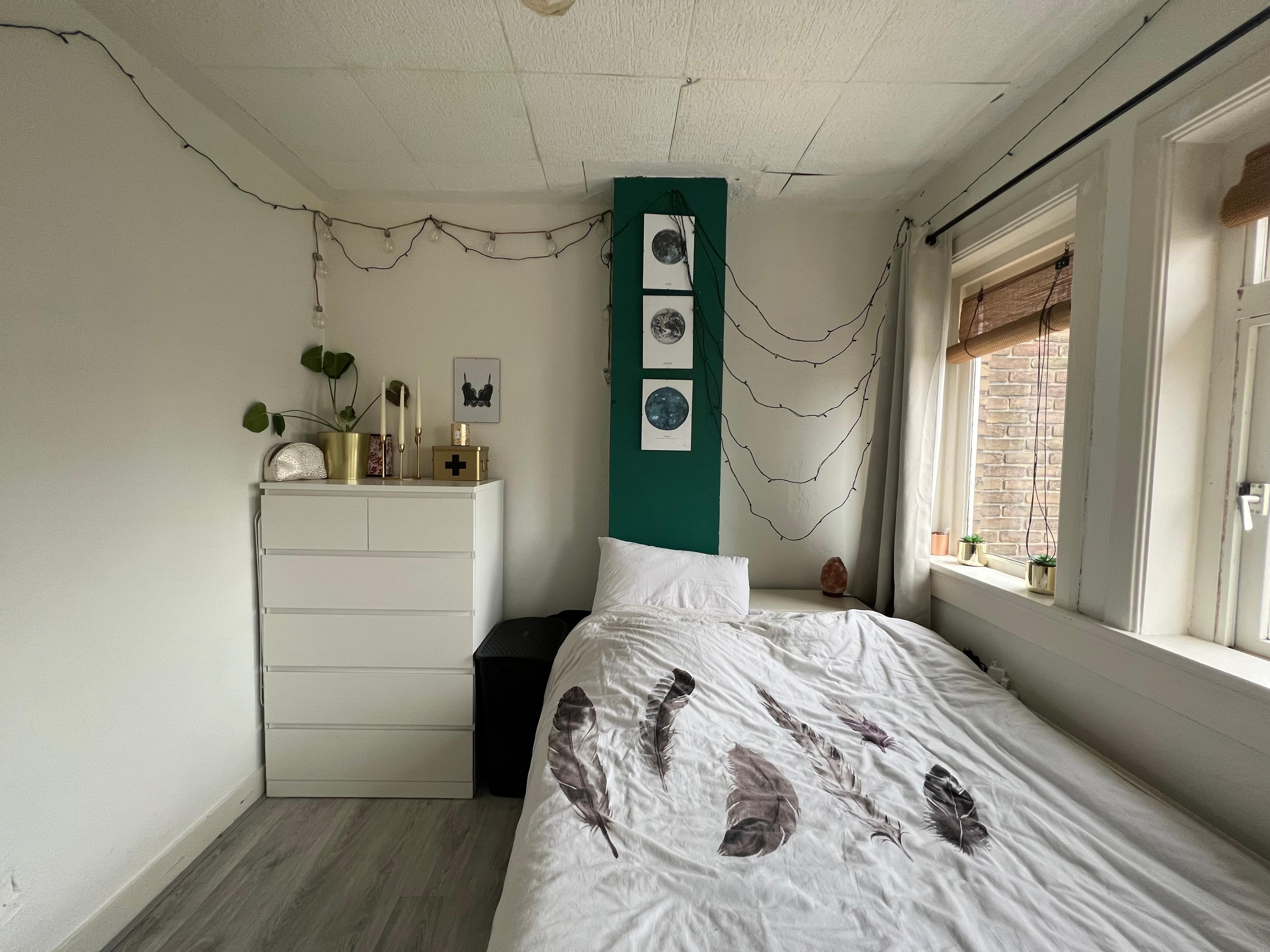 show all photos of Oppenheimstraat