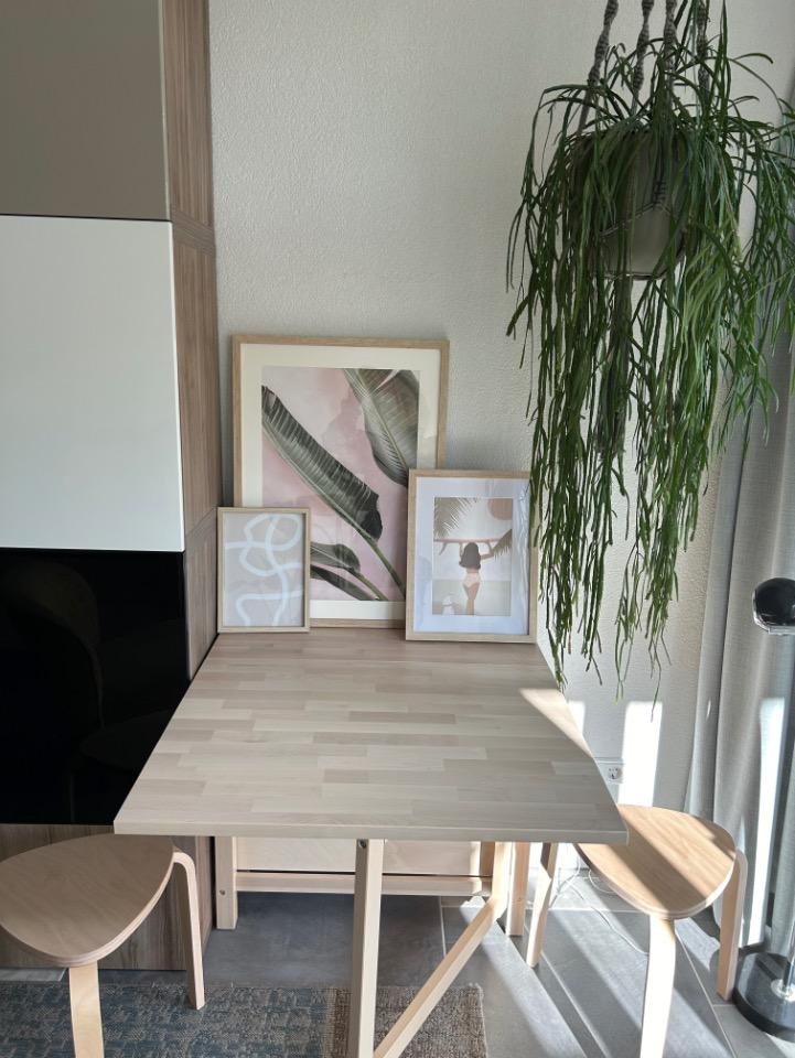 show all photos of Cornelis van Alkemadestraat