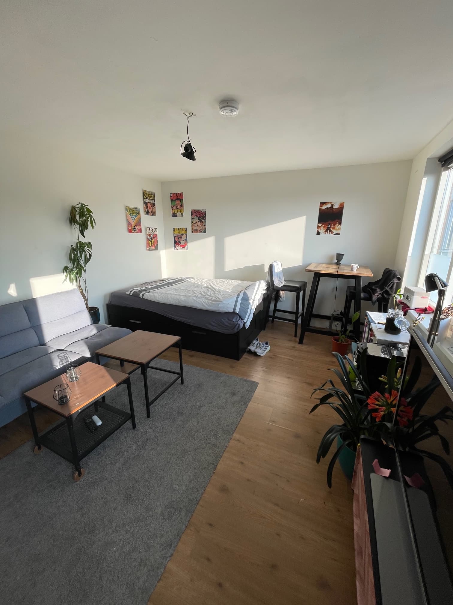 show all photos of Madoerastraat