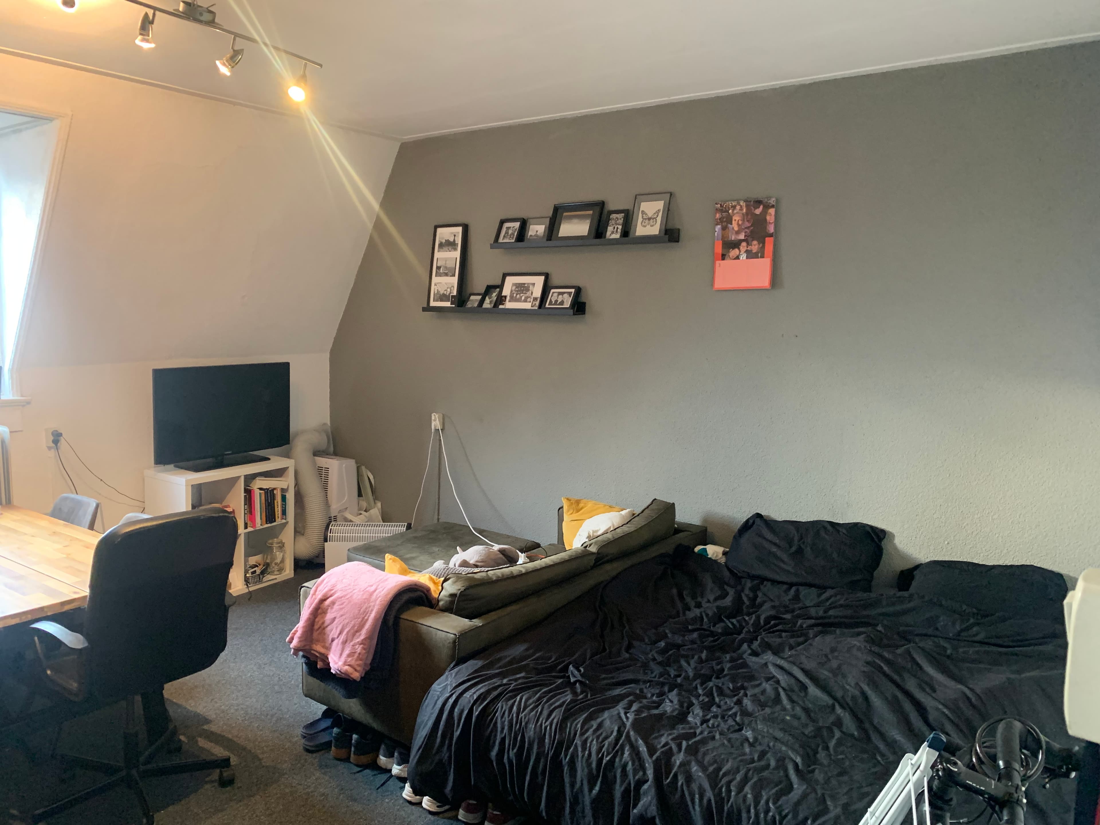 show all photos of St. Annastraat