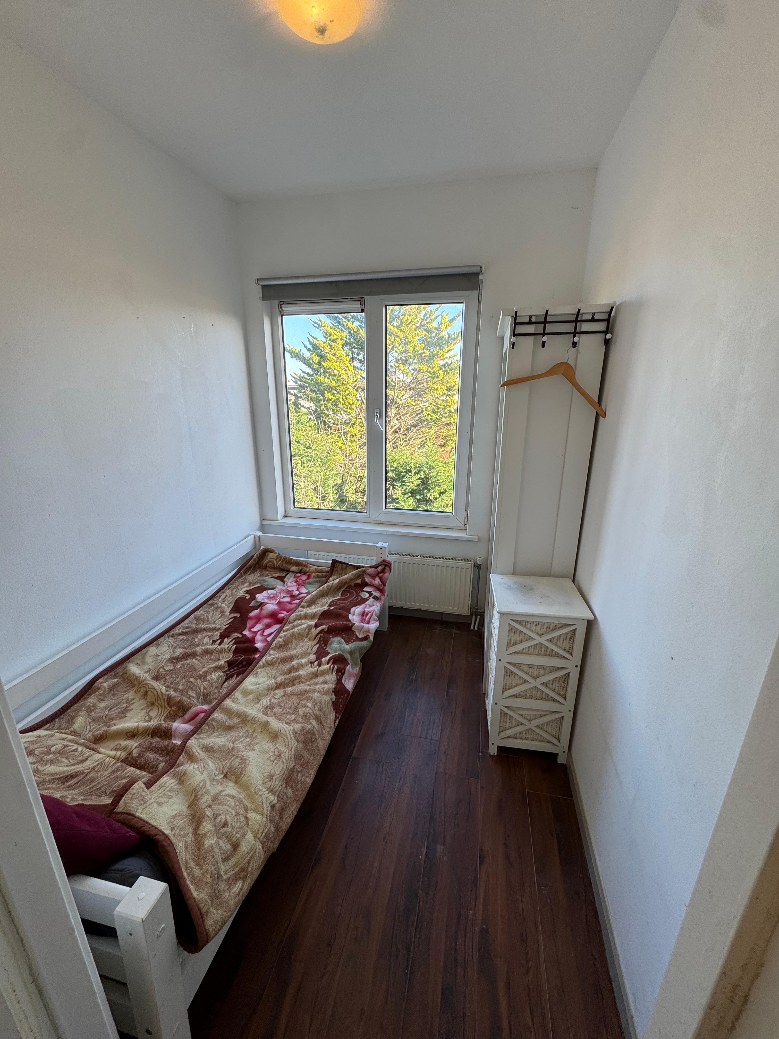 Madeliefstraat, Rotterdam