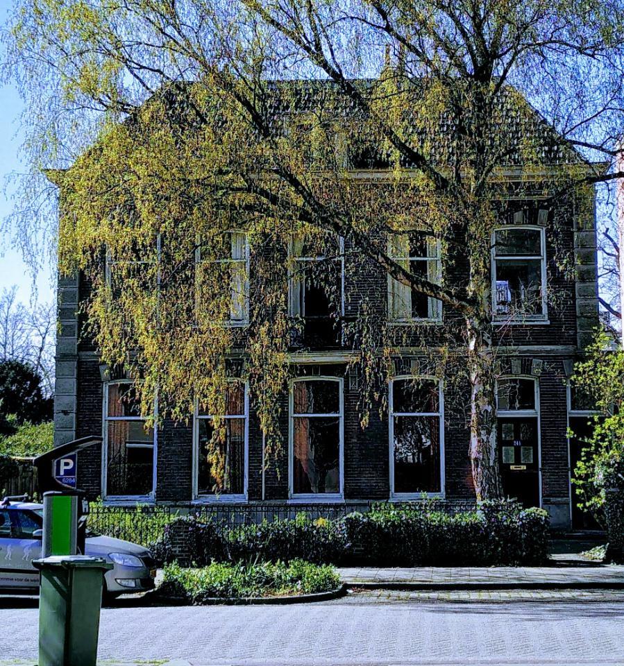 show all photos of Krayenhofflaan