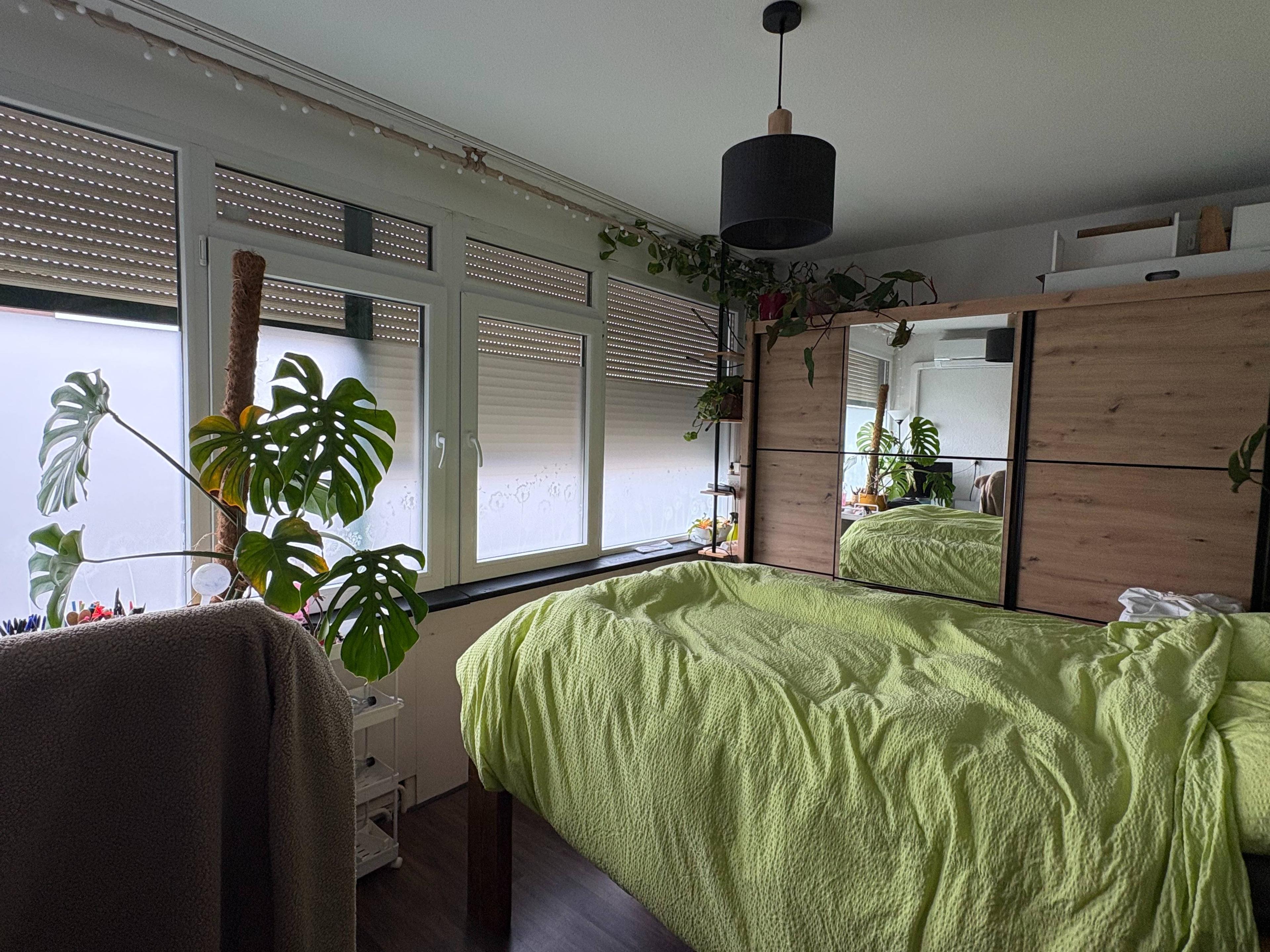 show all photos of Zwanenveld