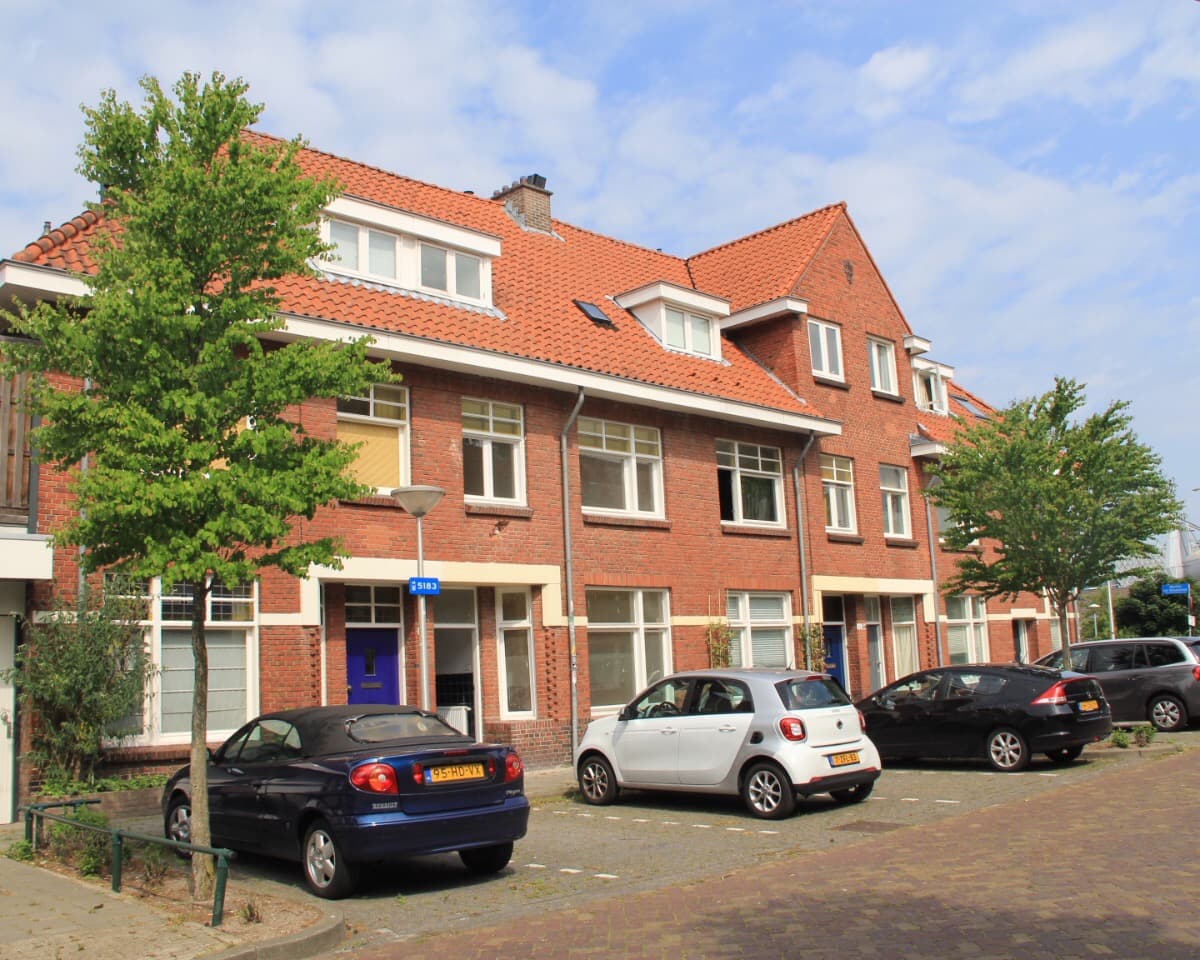 show all photos of Lodewijk Napoleonlaan