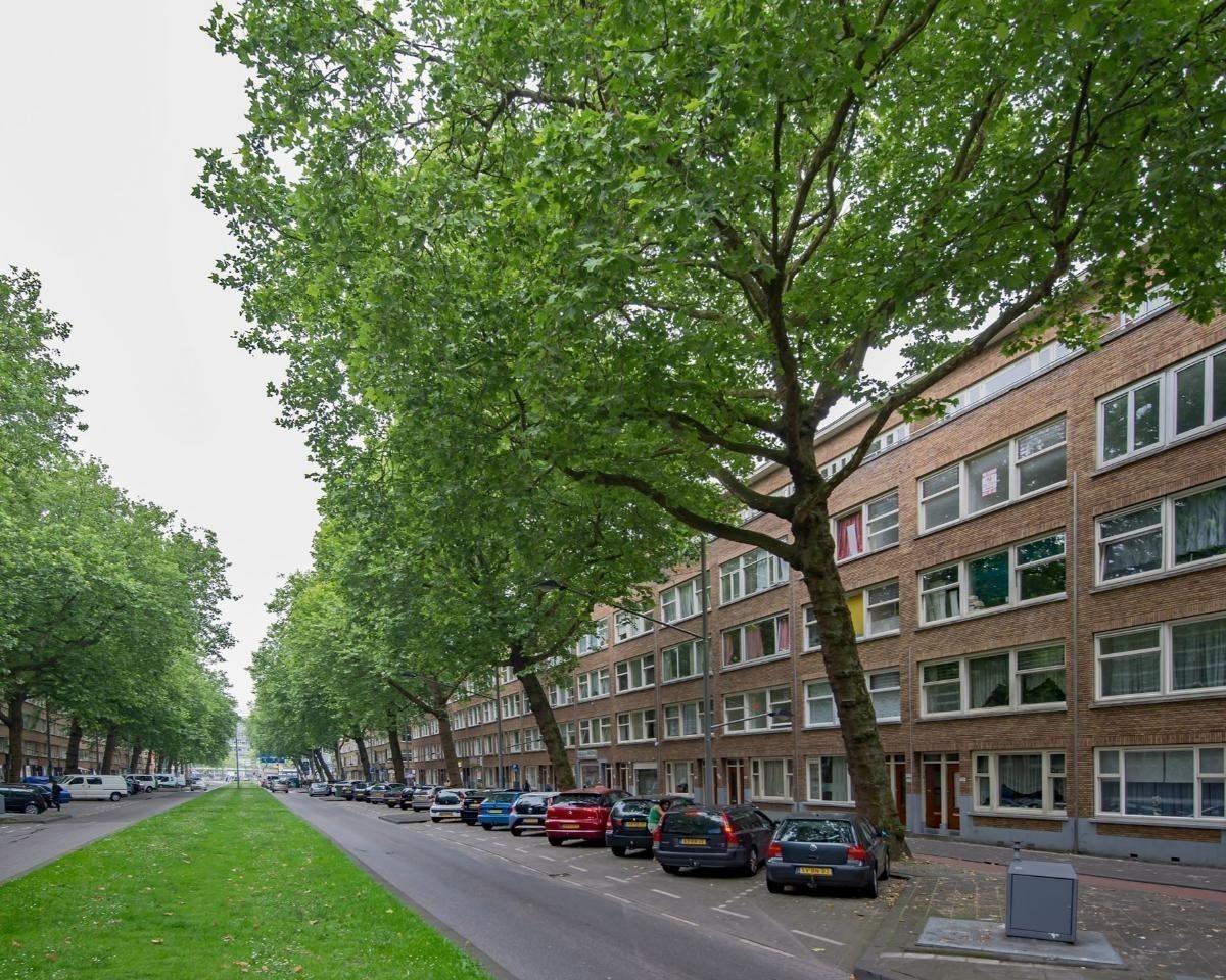 show all photos of Dordtselaan