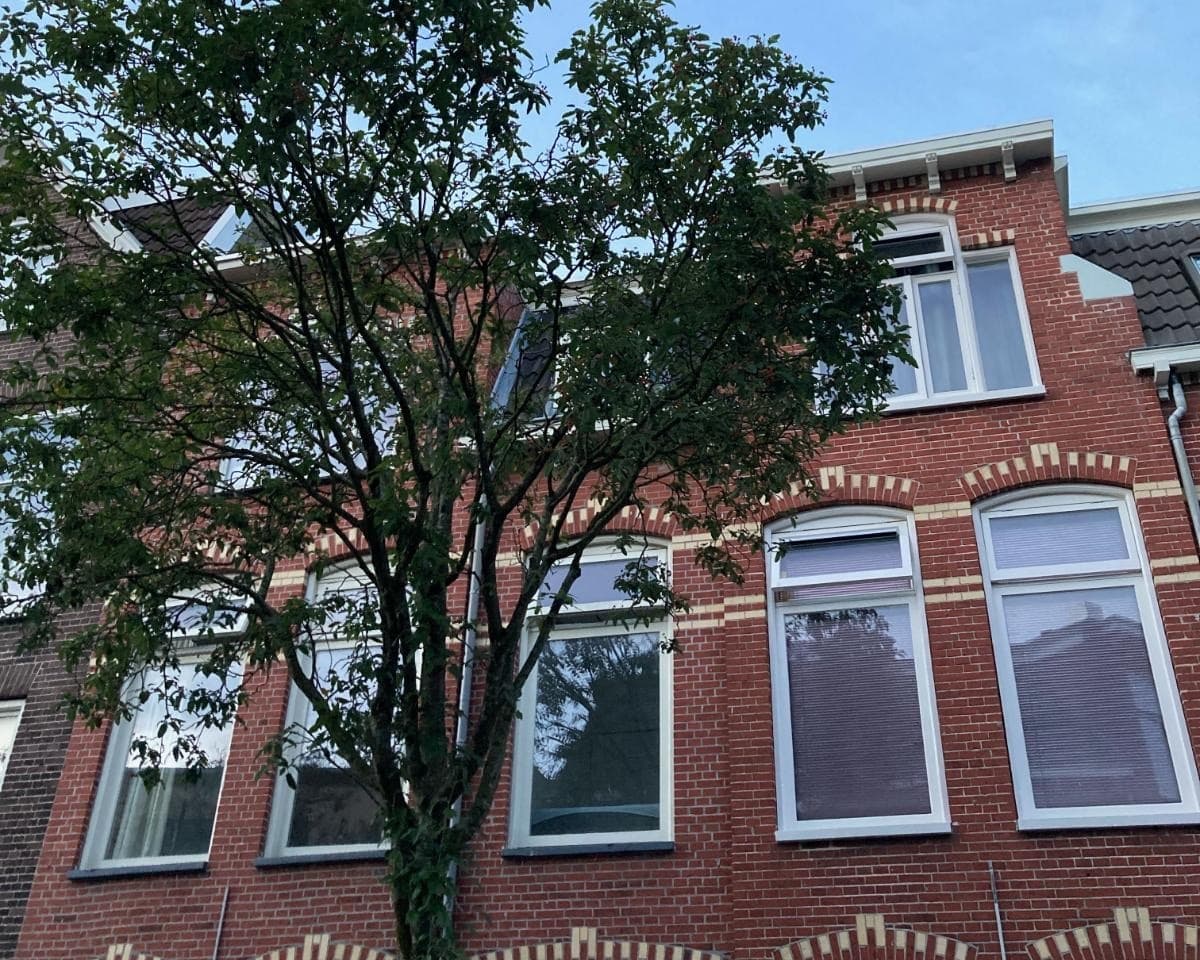 show all photos of Verlengde Nieuwstraat