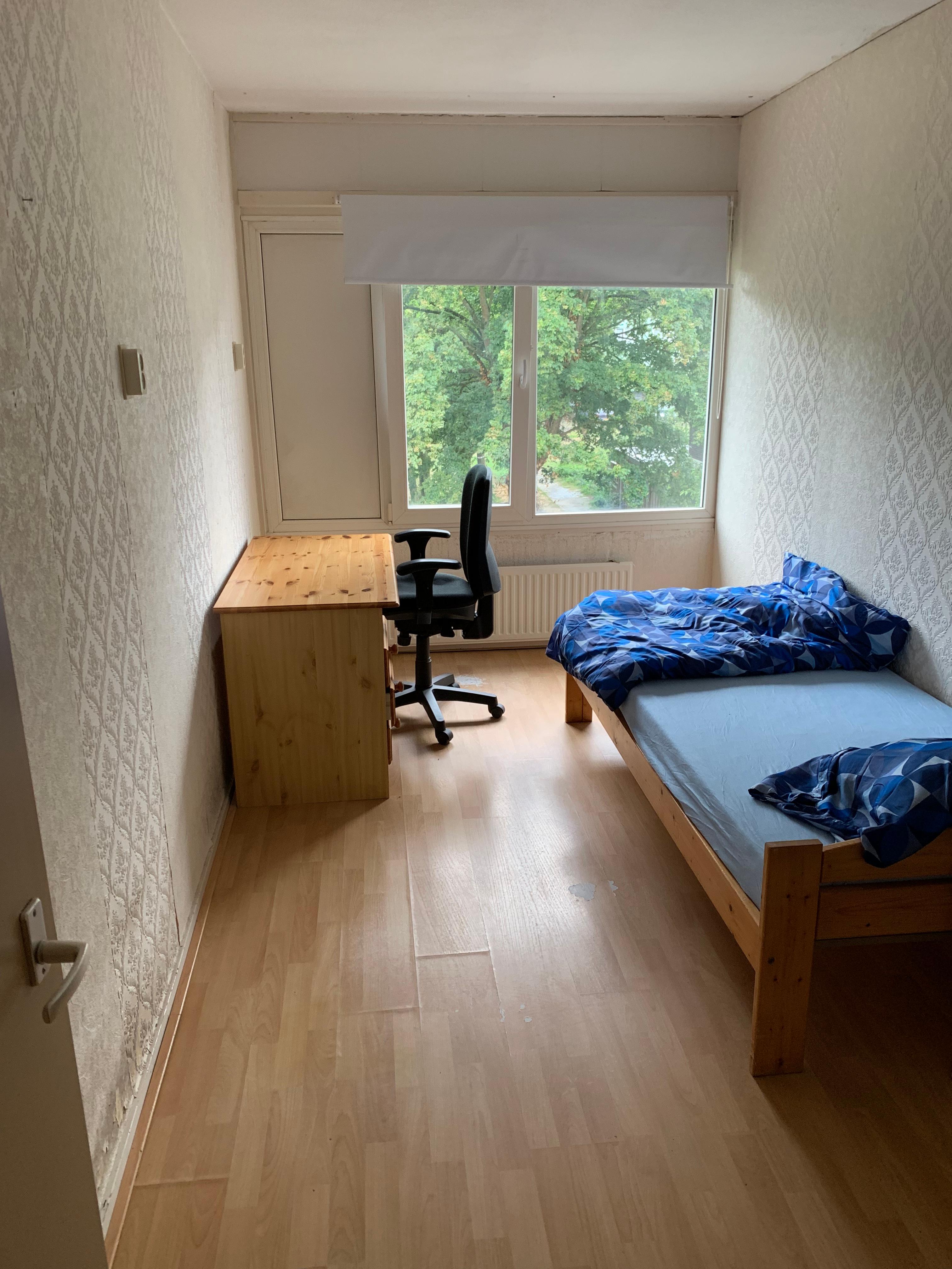 show all photos of Haarlebrink