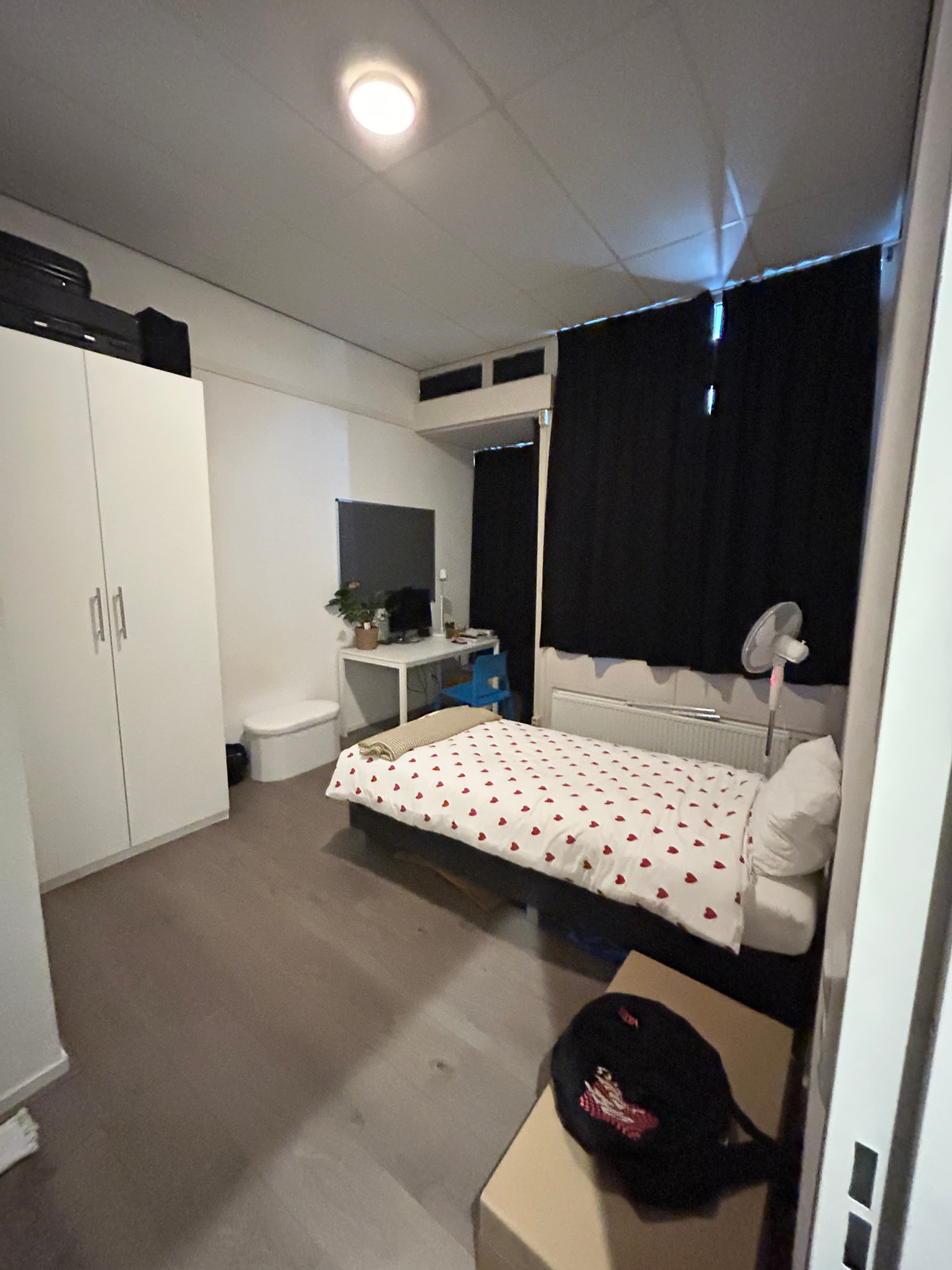 show all photos of Willem Dreeslaan