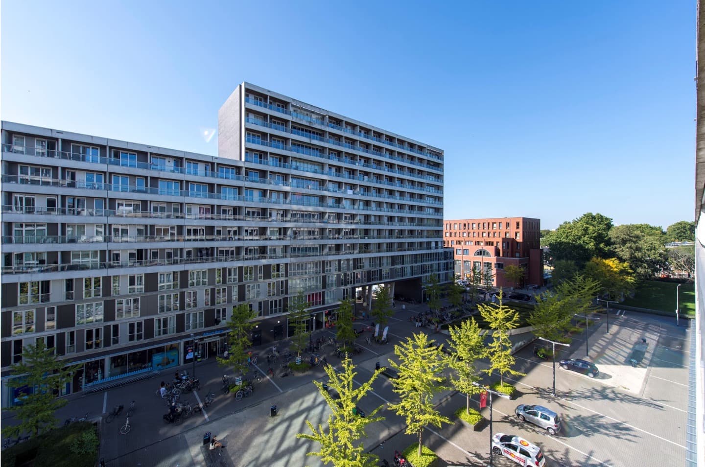 show all photos of Professor de Moorplein