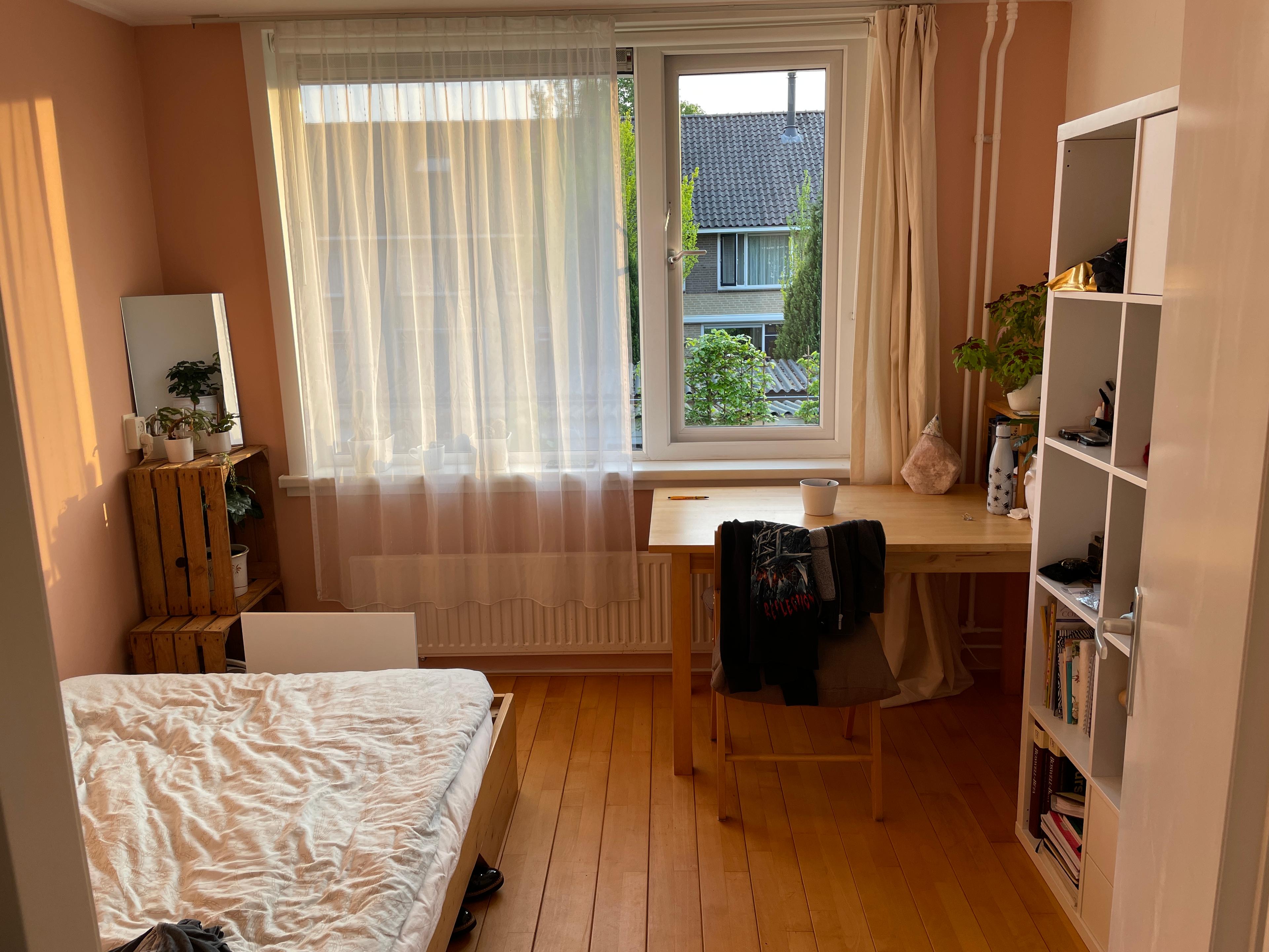 show all photos of Spotvogellaan