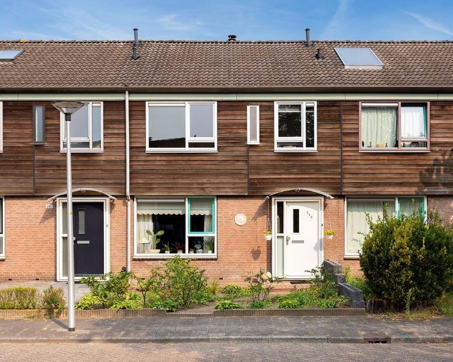 show all photos of Markveldebrink