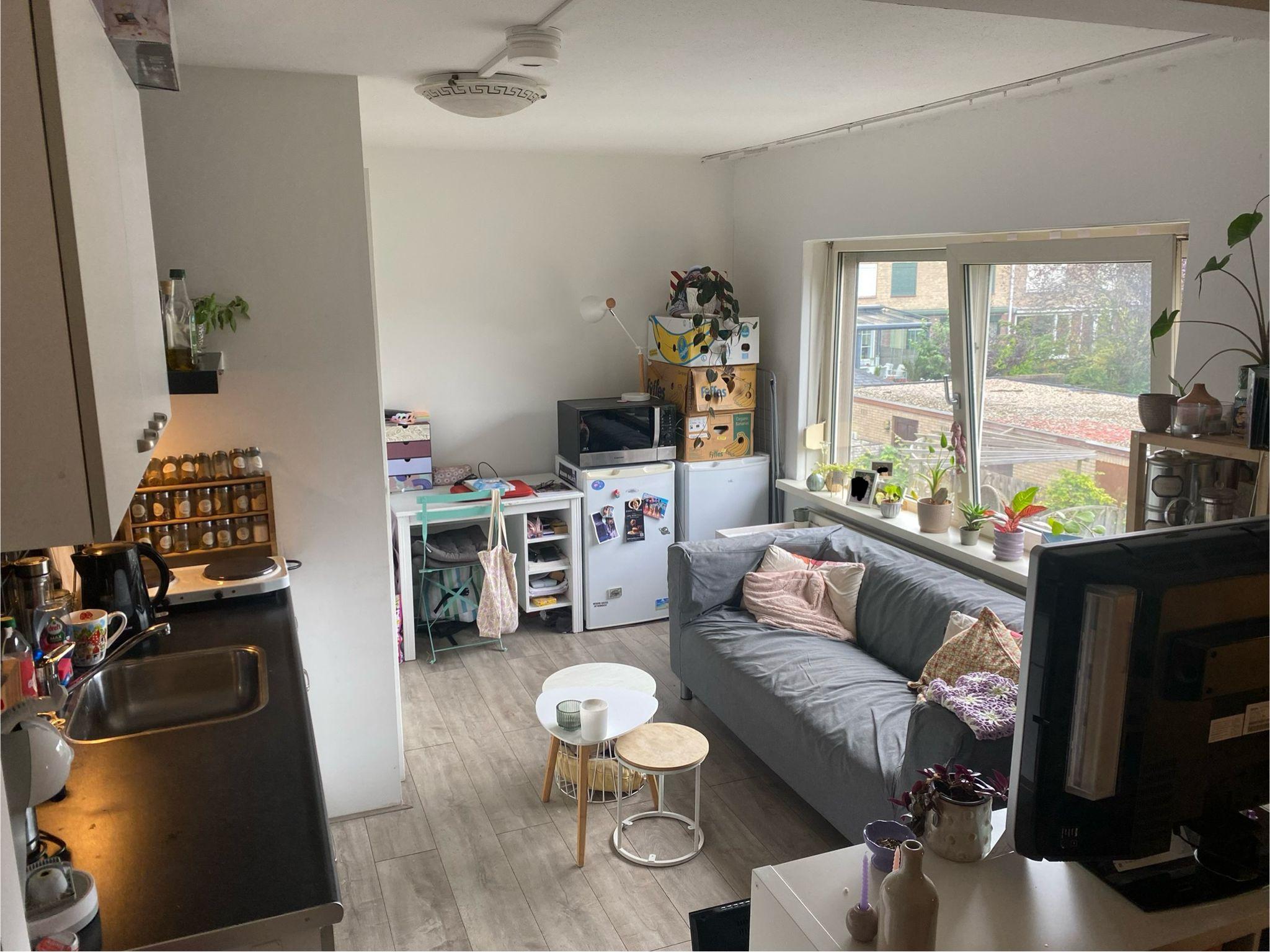 show all photos of Meijhorst