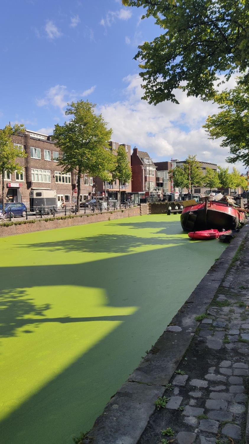 show all photos of Turfsingel