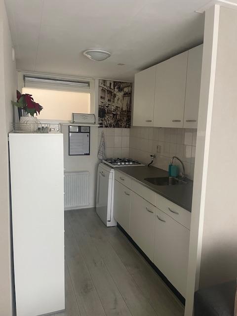 show all photos of Castor