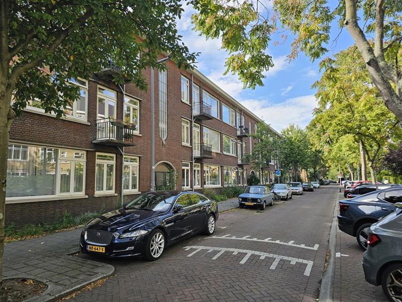 show all photos of Lumeystraat