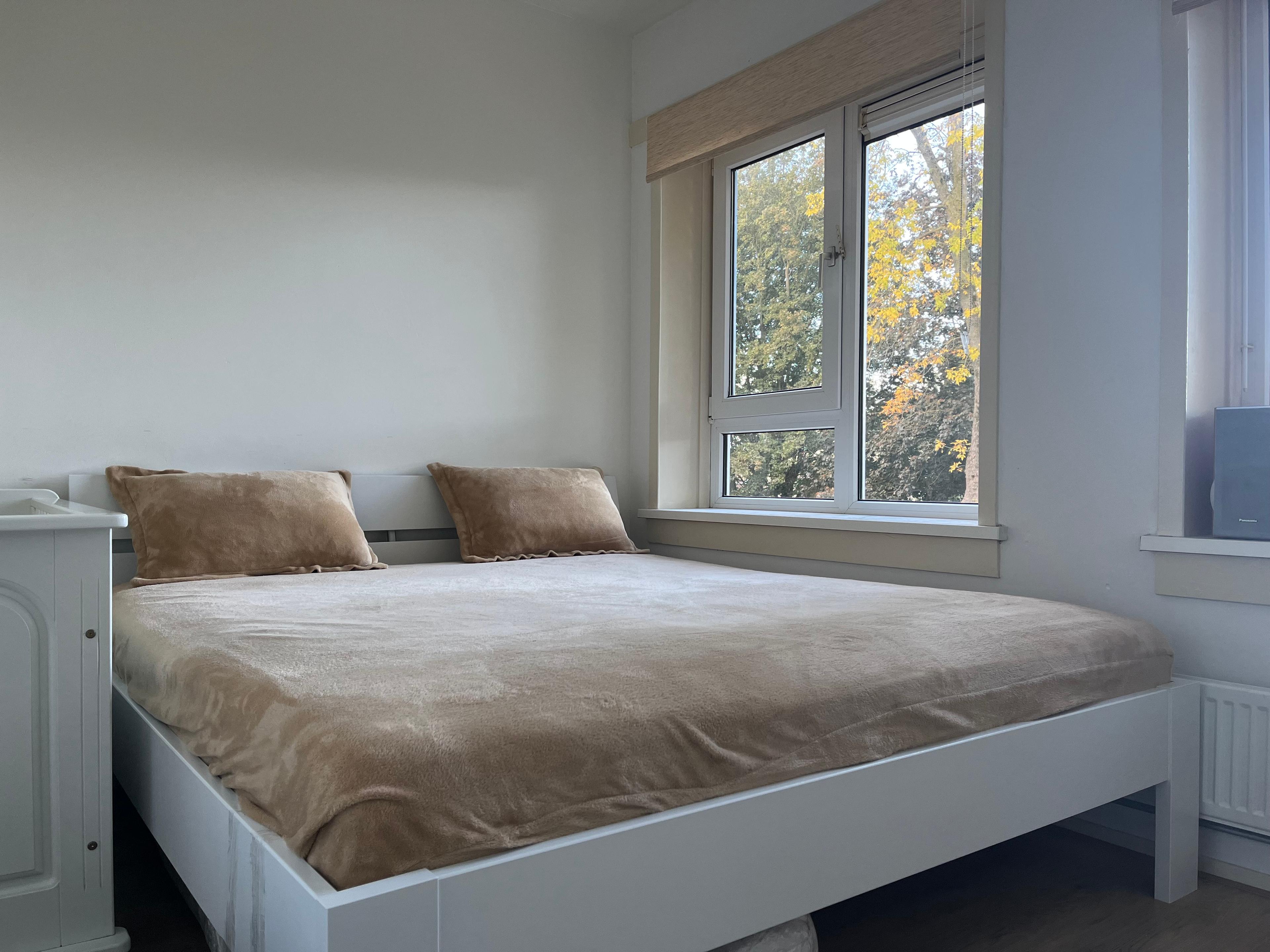 show all photos of Hans Bentinckstraat