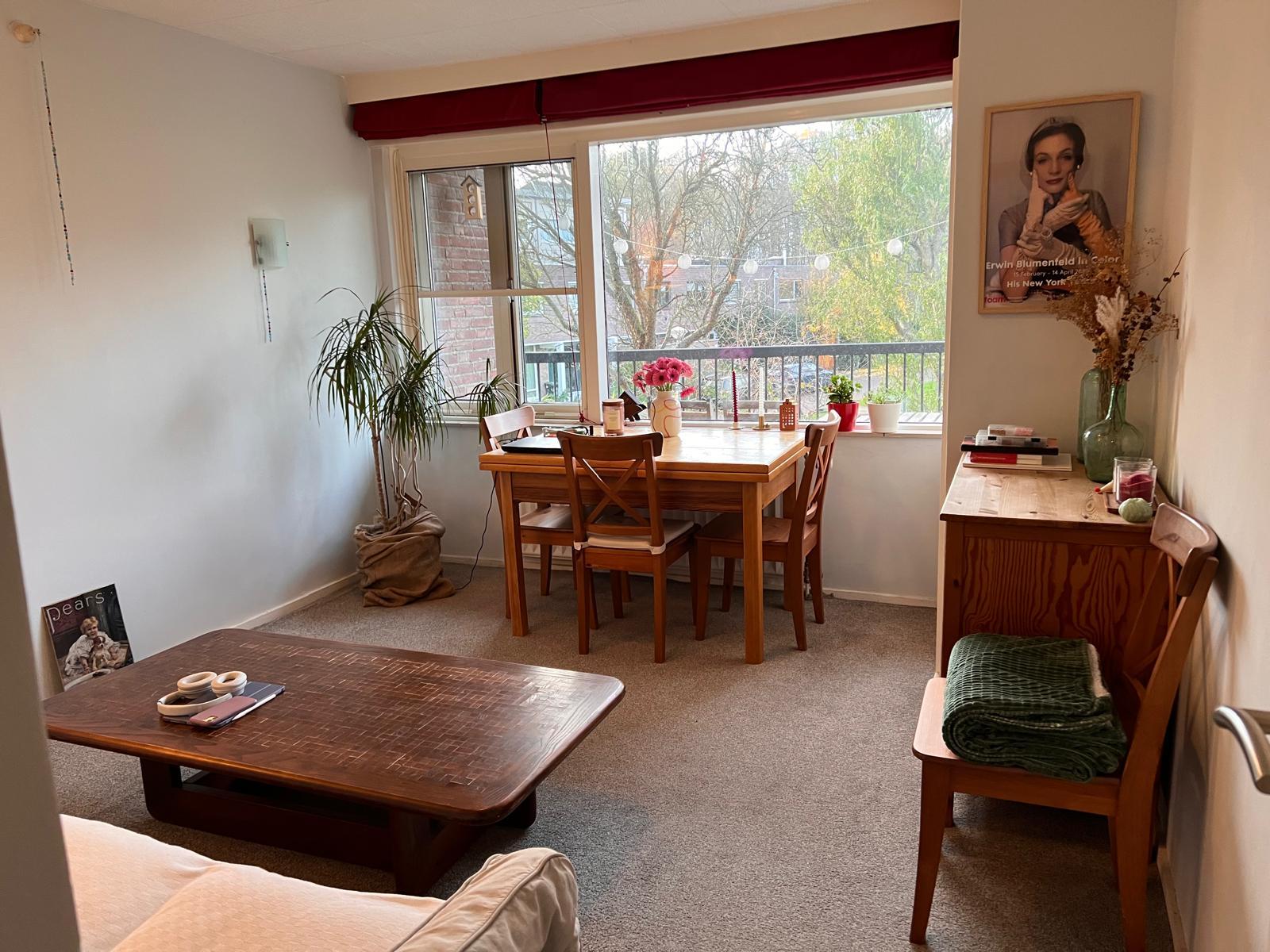 show all photos of Hemsterhuisstraat