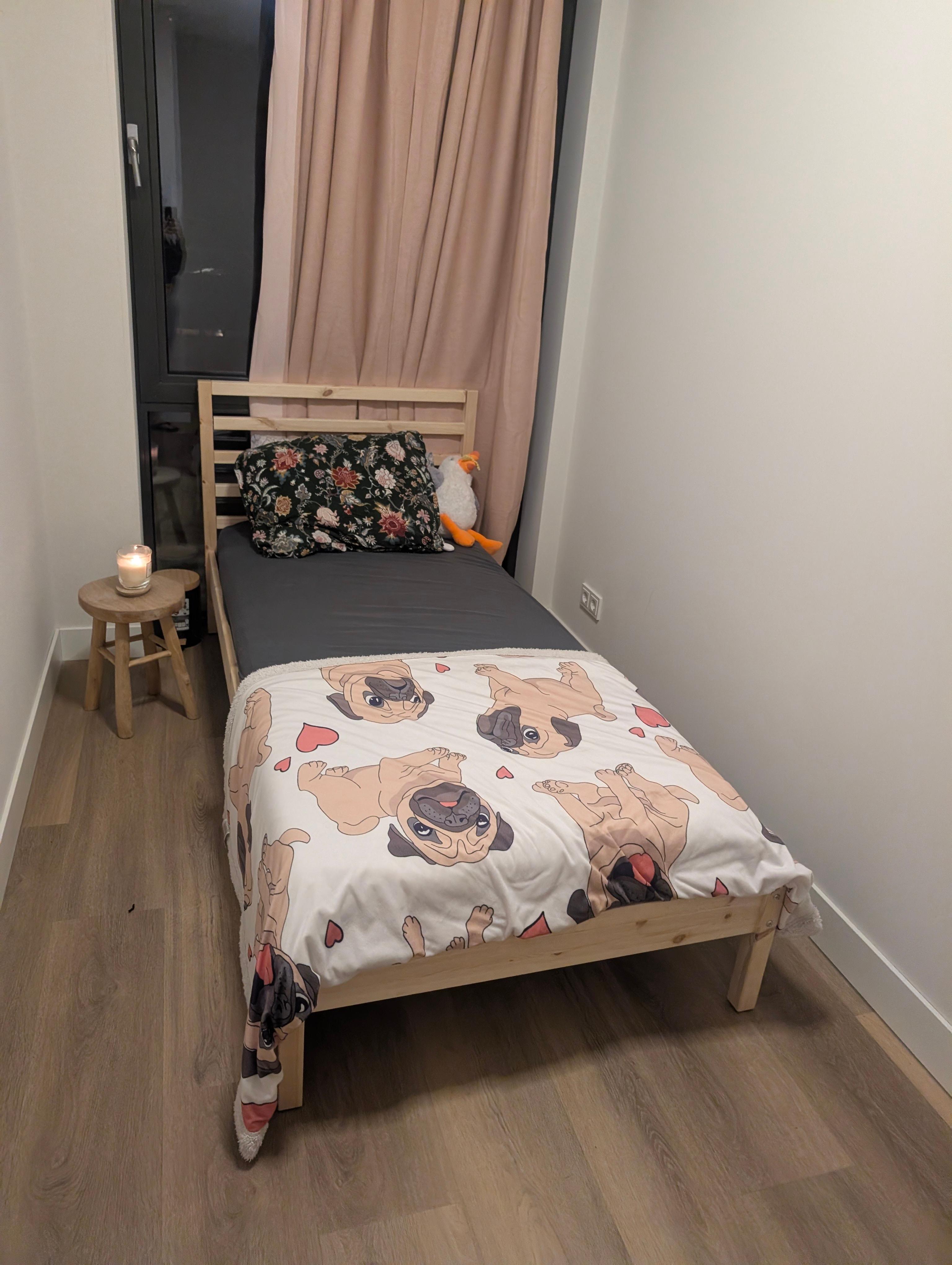 show all photos of Ariana Nozemanstraat