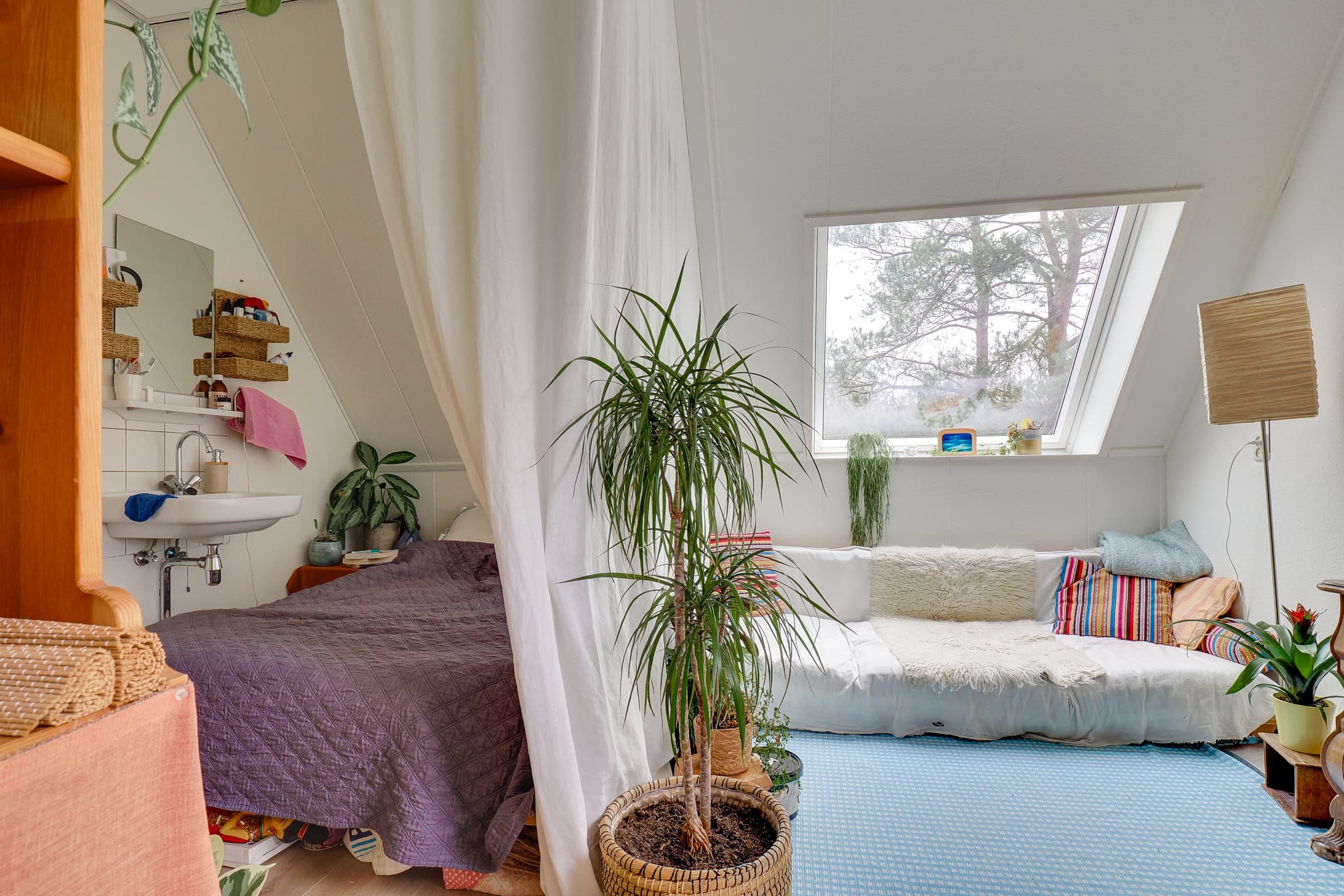 show all photos of Krakelingweg