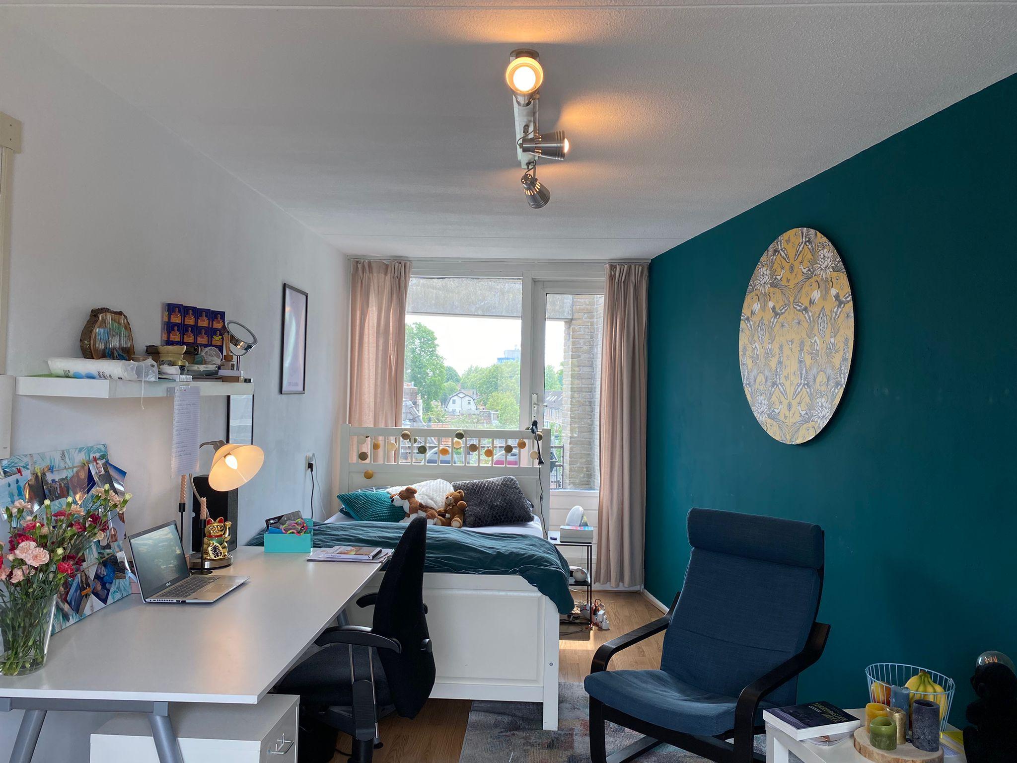 show all photos of Wilhelmina Druckerstraat