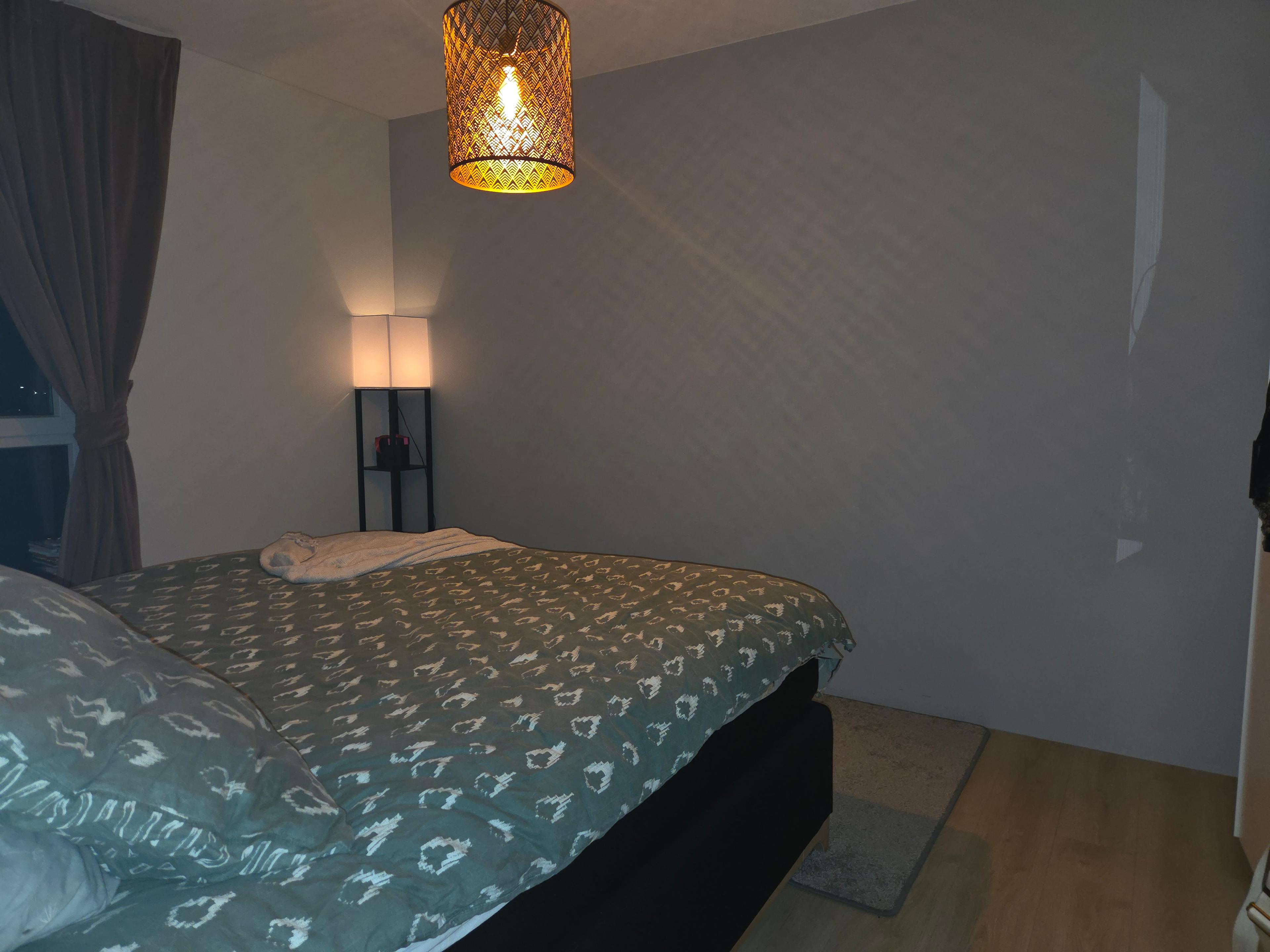 show all photos of Windesheimstraat