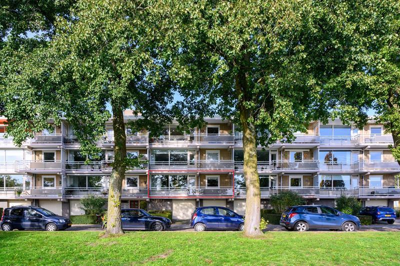 show all photos of Zwanensingel