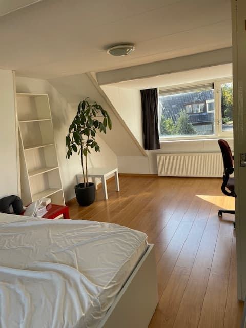 show all photos of van Dijkstraat