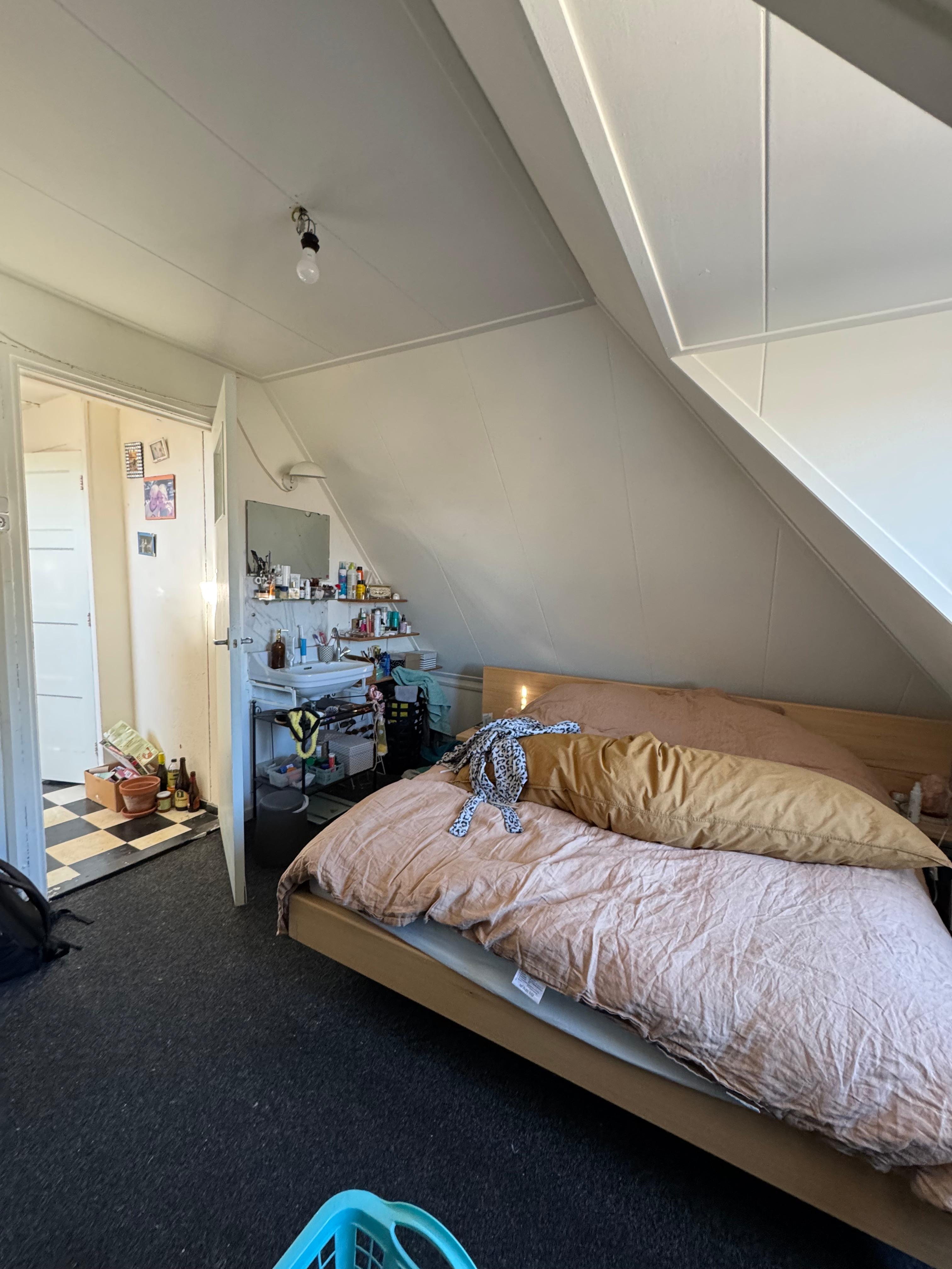 show all photos of Sonsbeeksingel