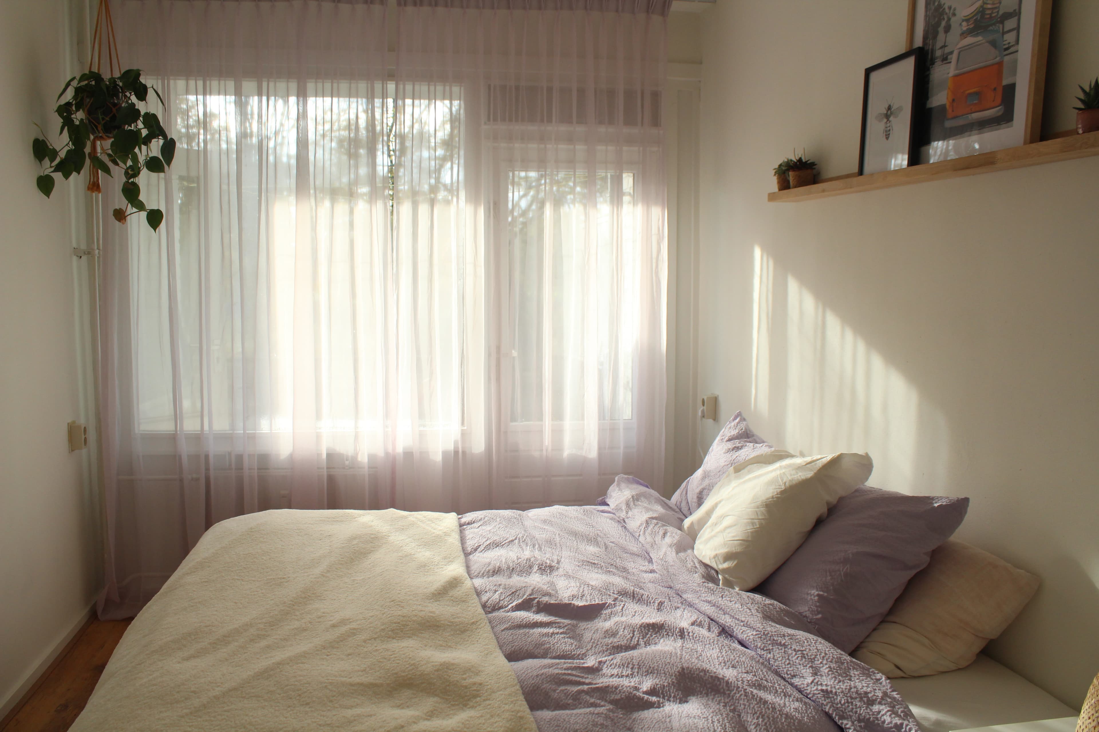 show all photos of Sportlaan