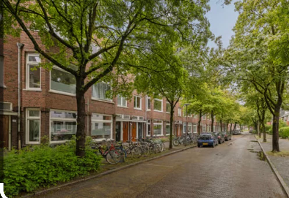 show all photos of Professor Rankestraat