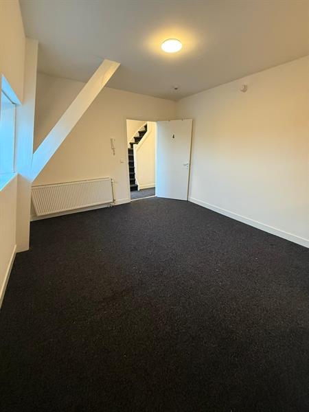 show all photos of Wilhelminapark