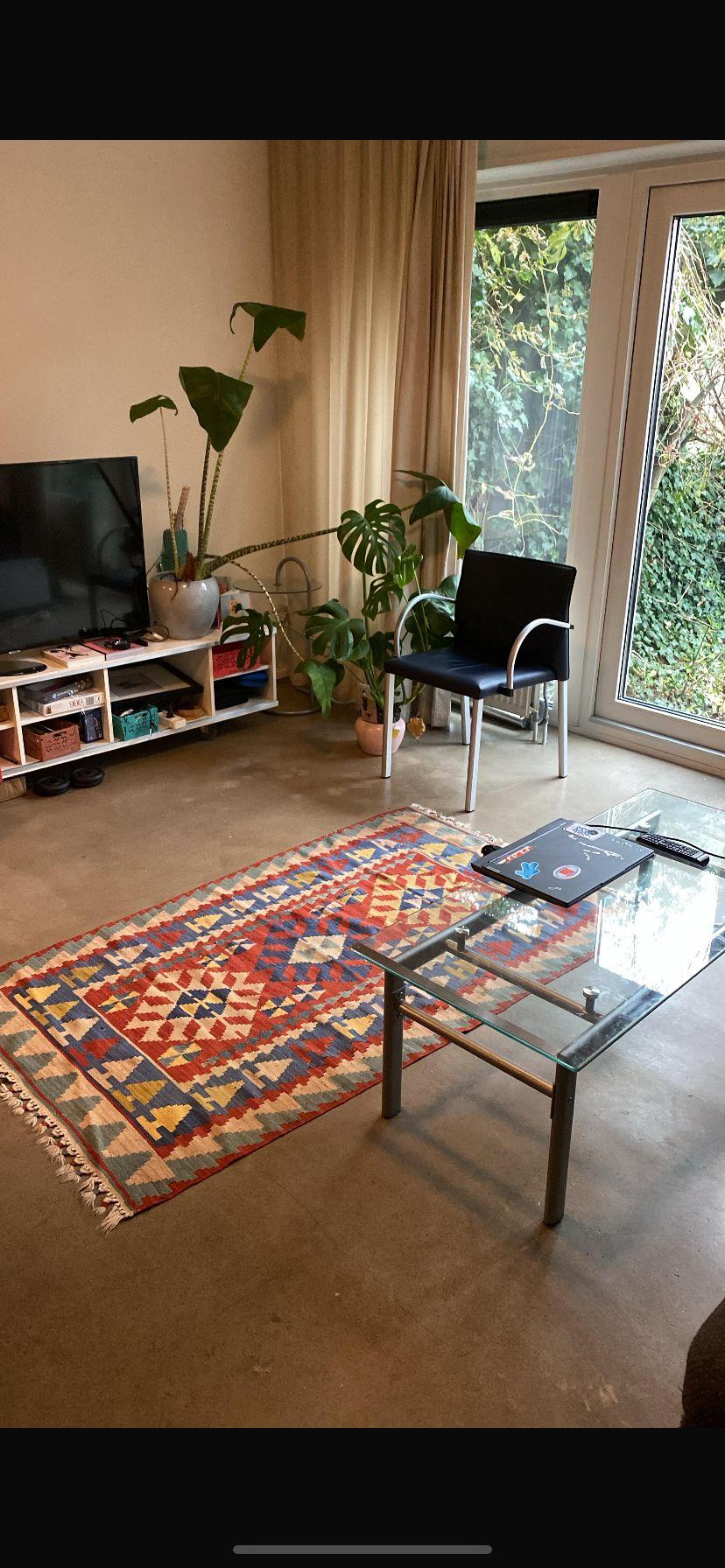 show all photos of Binnenzagerij