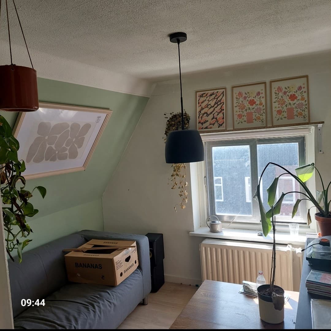 show all photos of Prunusstraat