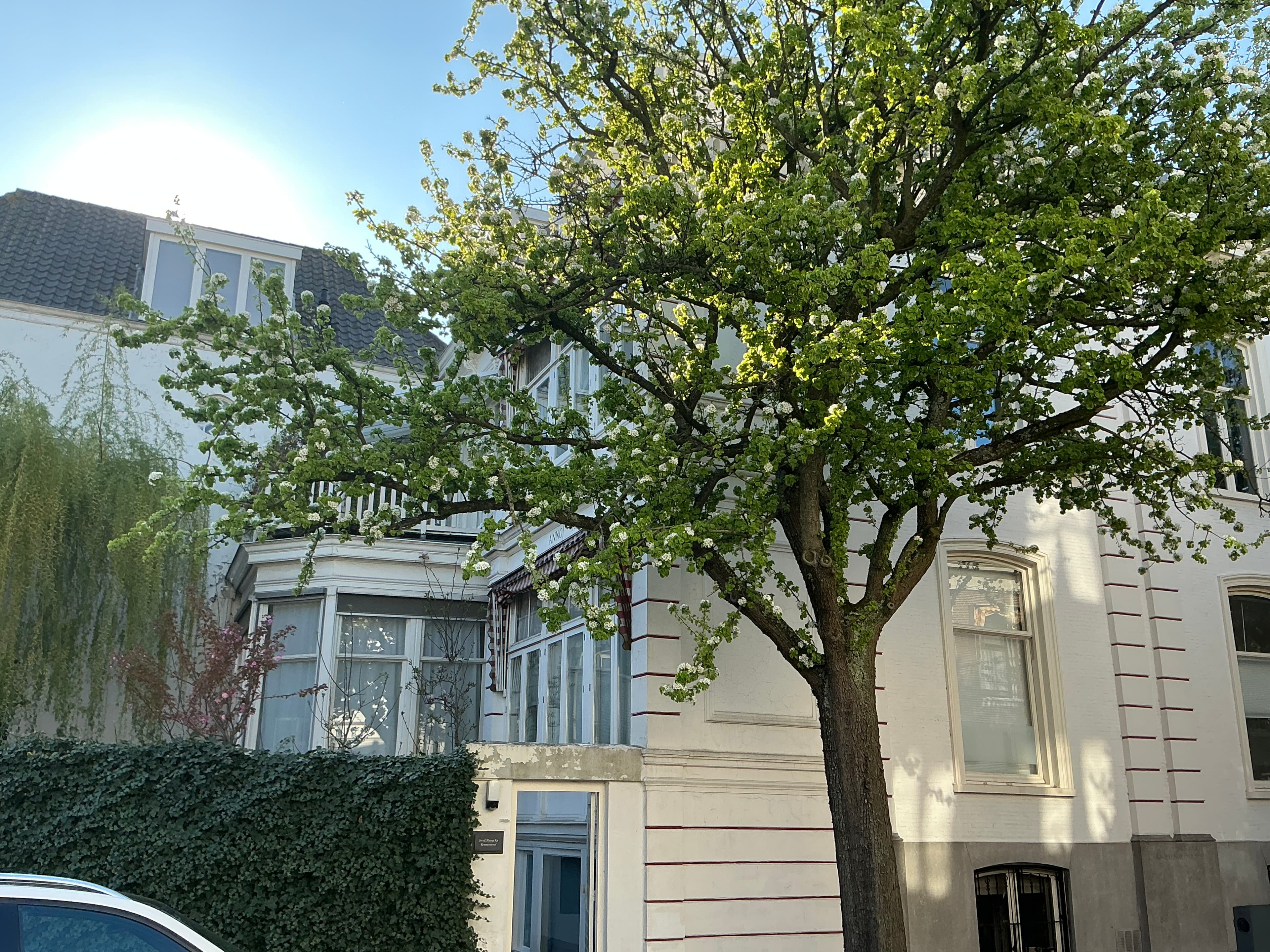 show all photos of Balistraat