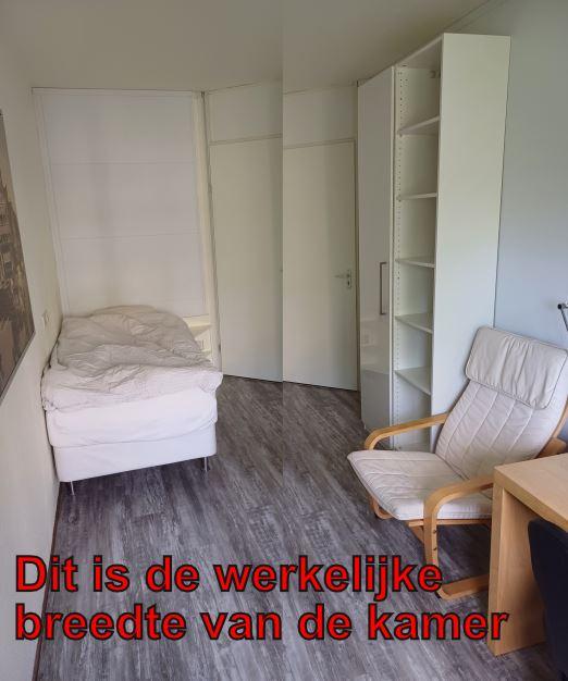 show all photos of Gouden Leeuw