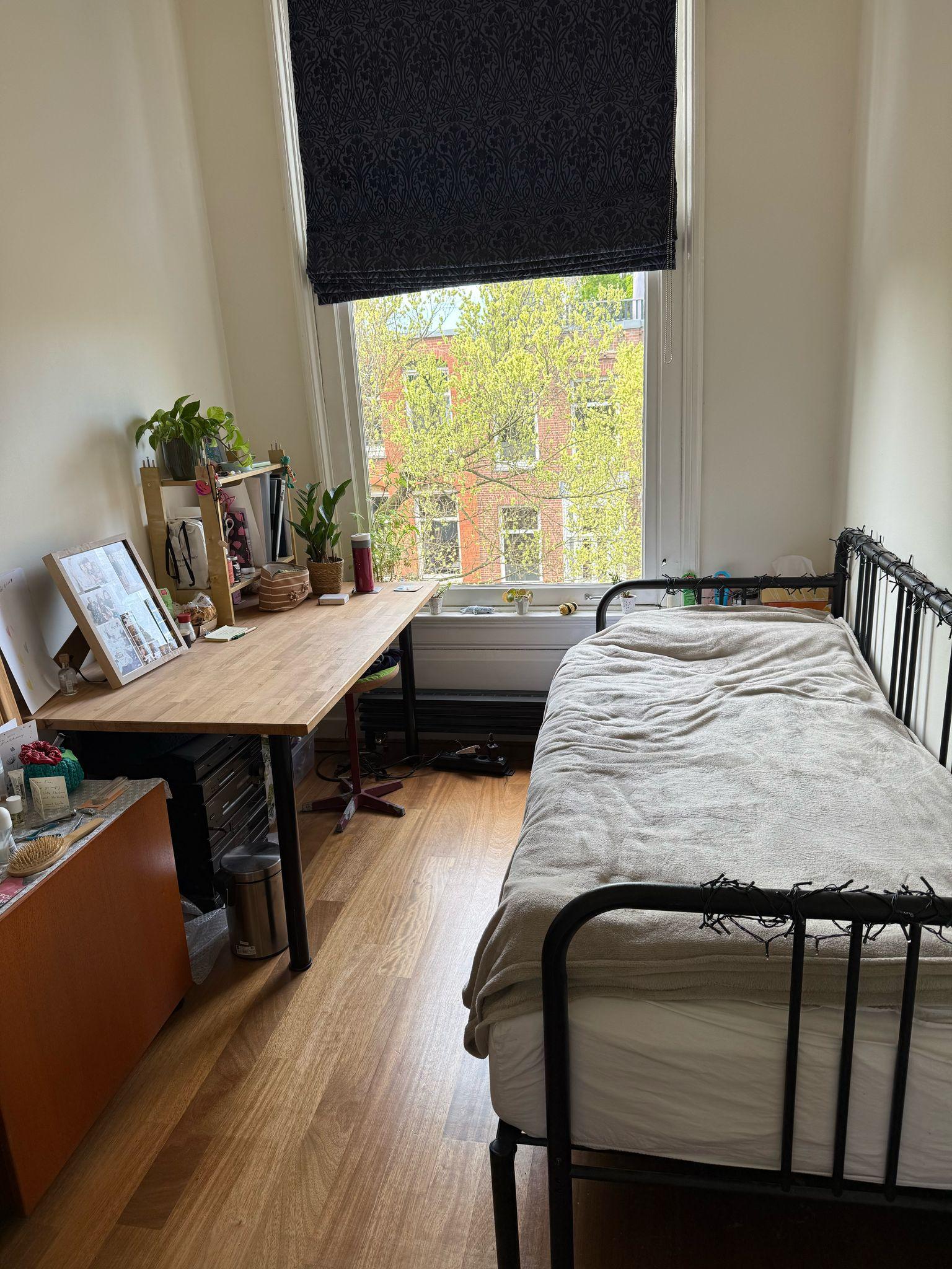 show all photos of Johannes Verhulststraat