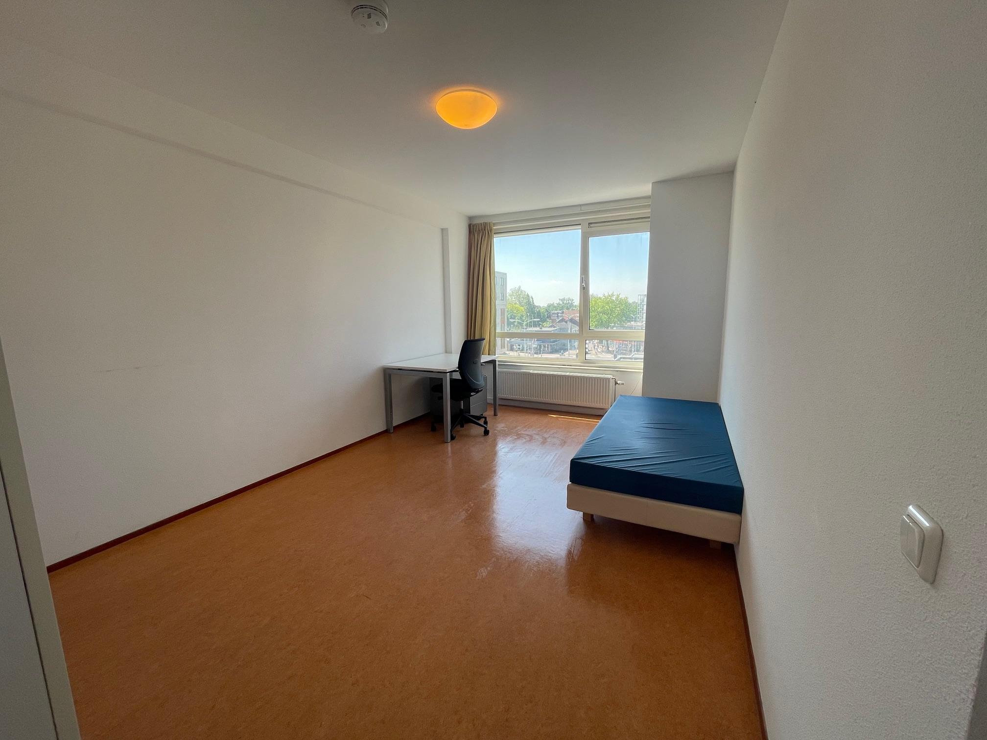 show all photos of Stadsbrink