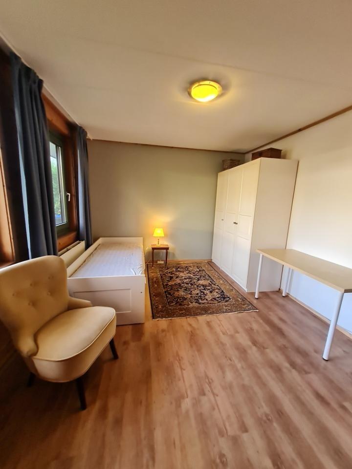 show all photos of Pimpernel