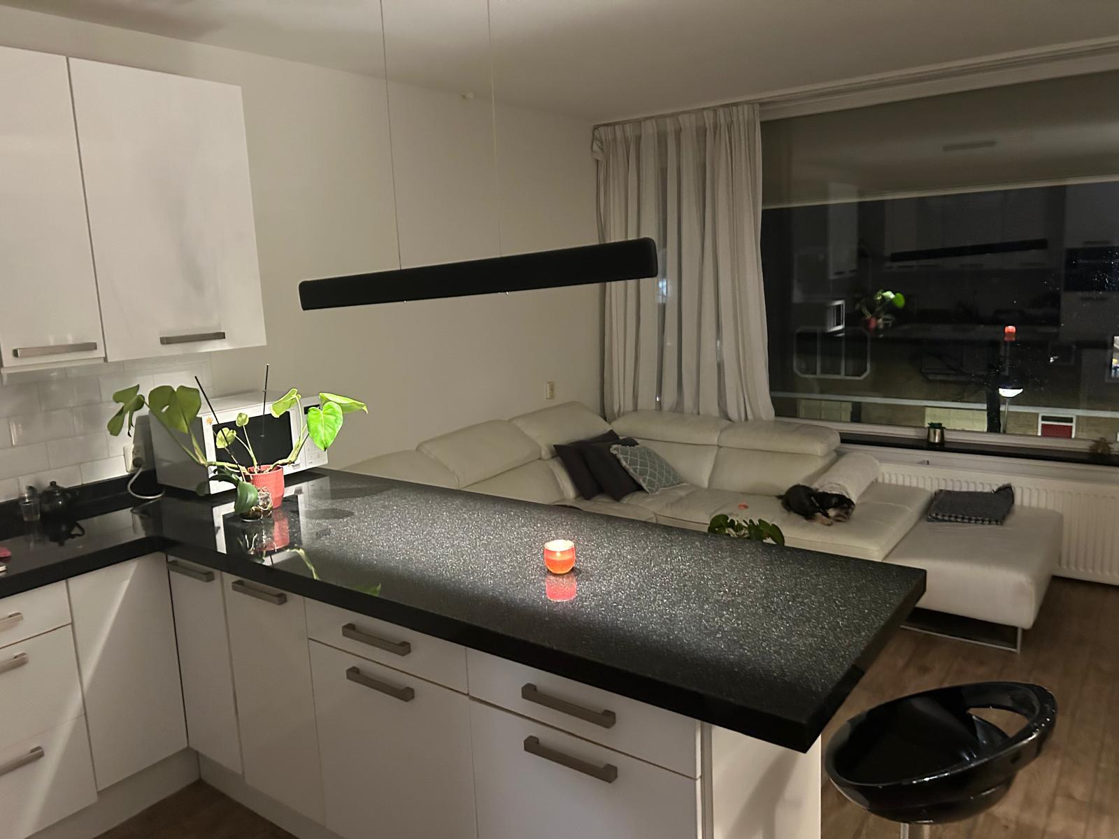 show all photos of Buitenplein