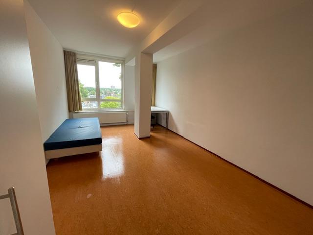show all photos of Stadsbrink