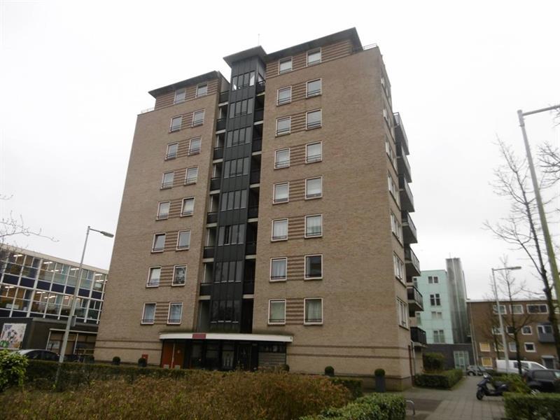 show all photos of Veldzicht