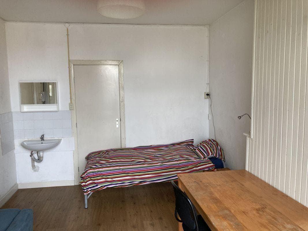 show all photos of Paul Krugerlaan